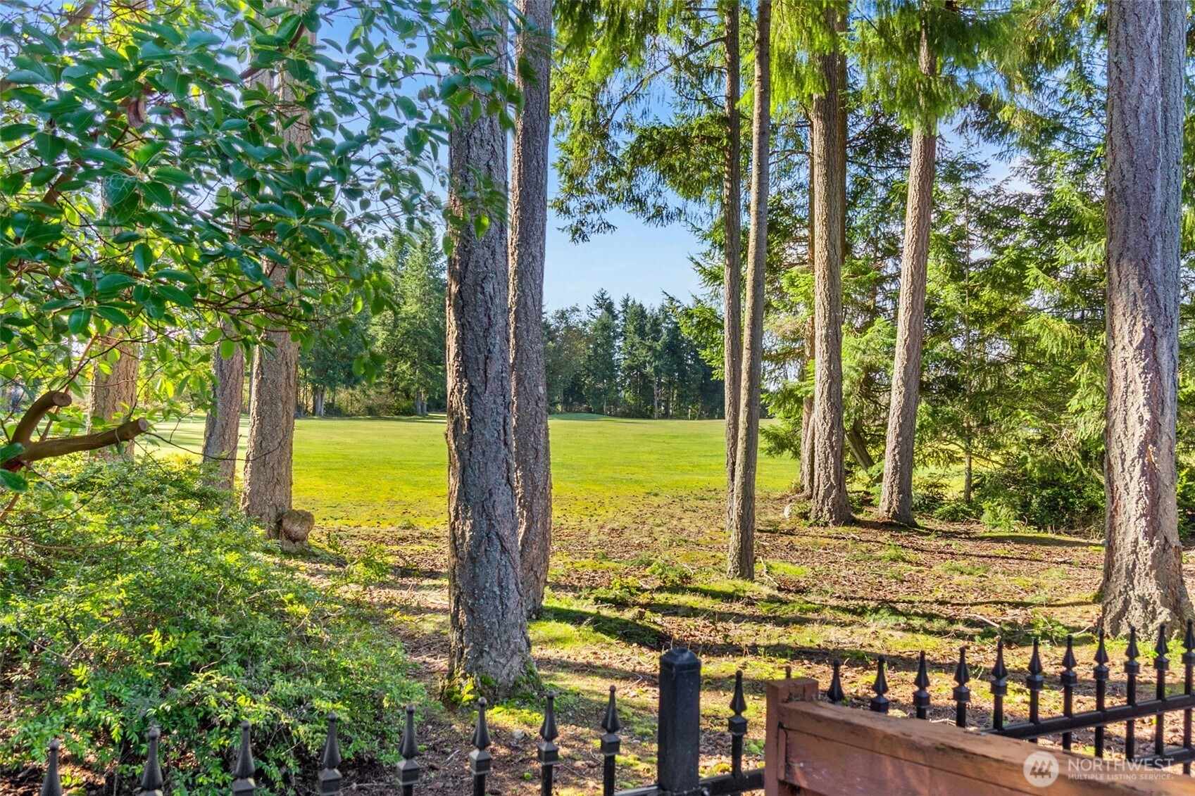 8231 Orcas Loop Northeast Lacey, WA 98516 - Photo 27 of 31