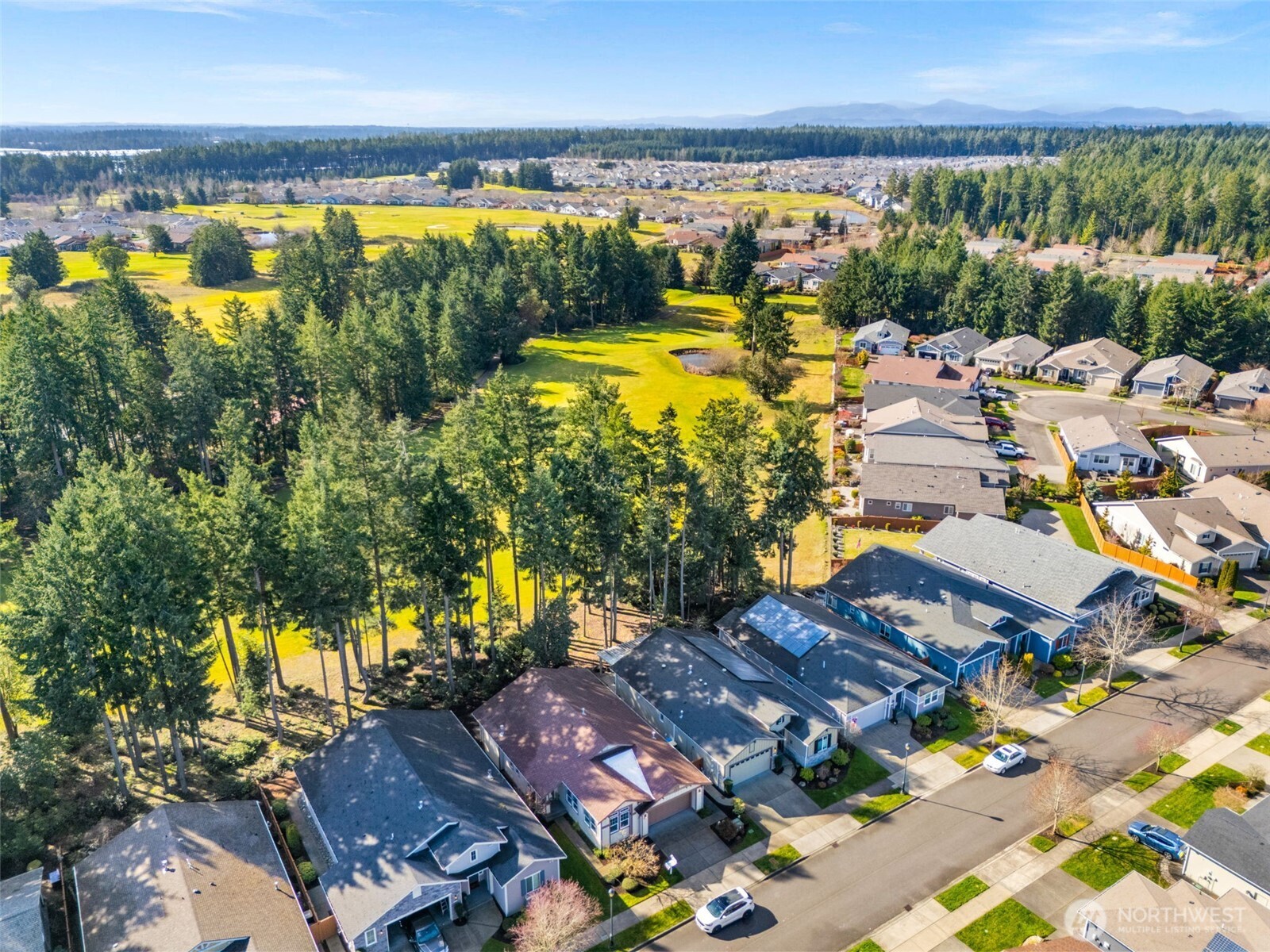 8231 Orcas Loop Northeast Lacey, WA 98516 - Photo 29 of 31