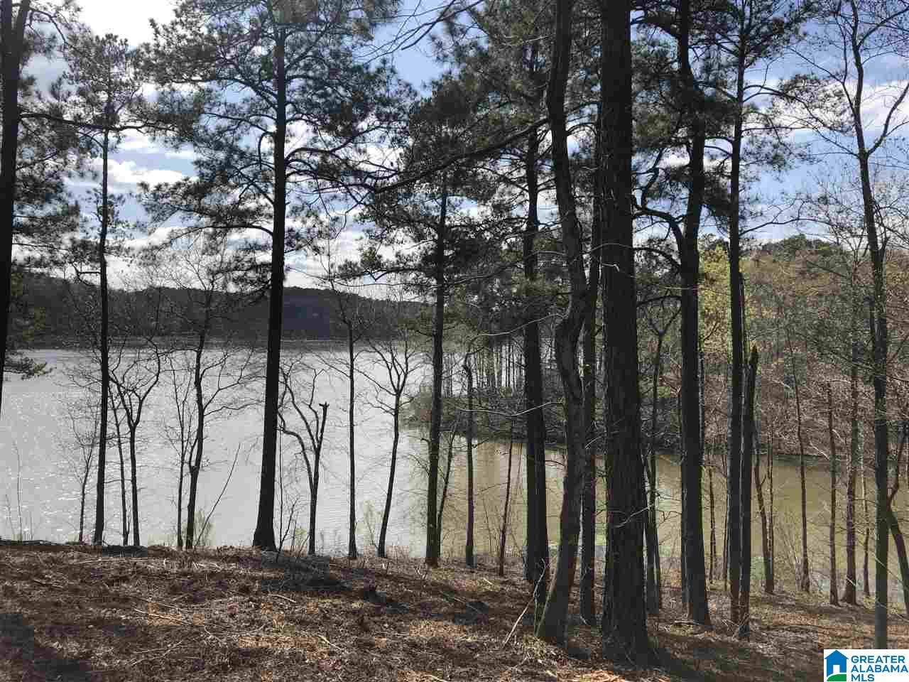 Stillwaters Trail Sylacauga, AL 35151 - Photo 8 of 30