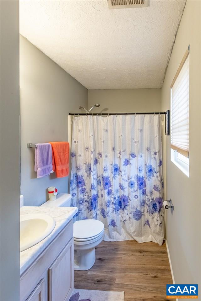 1504 Adial Road Faber, VA 22938 - Photo 18 of 22 a bathroom with a toilet and a shower curtain