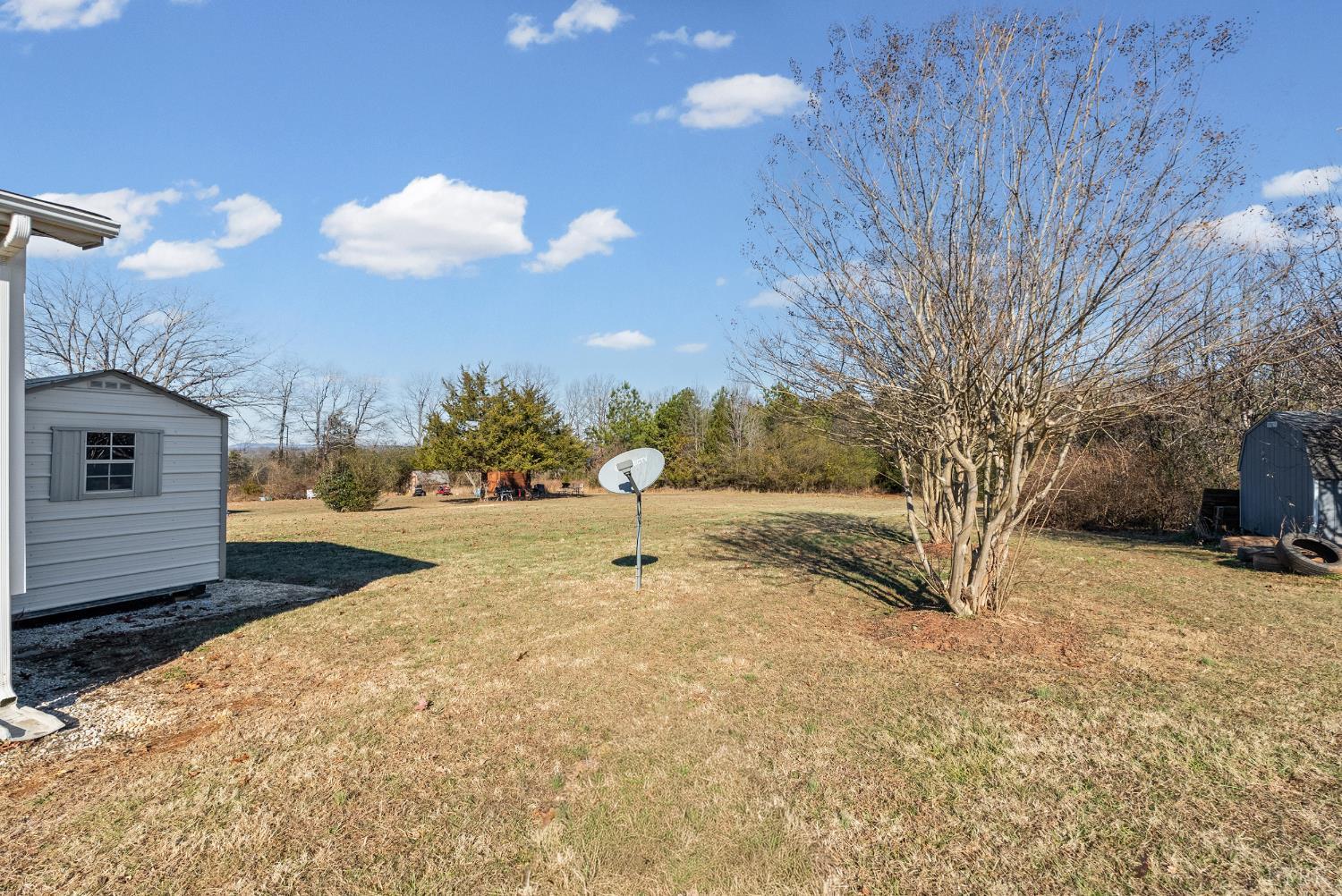 13116 Brookneal Highway Gladys, VA 24554 - Photo 26 of 34 a view of a yard with a tree
