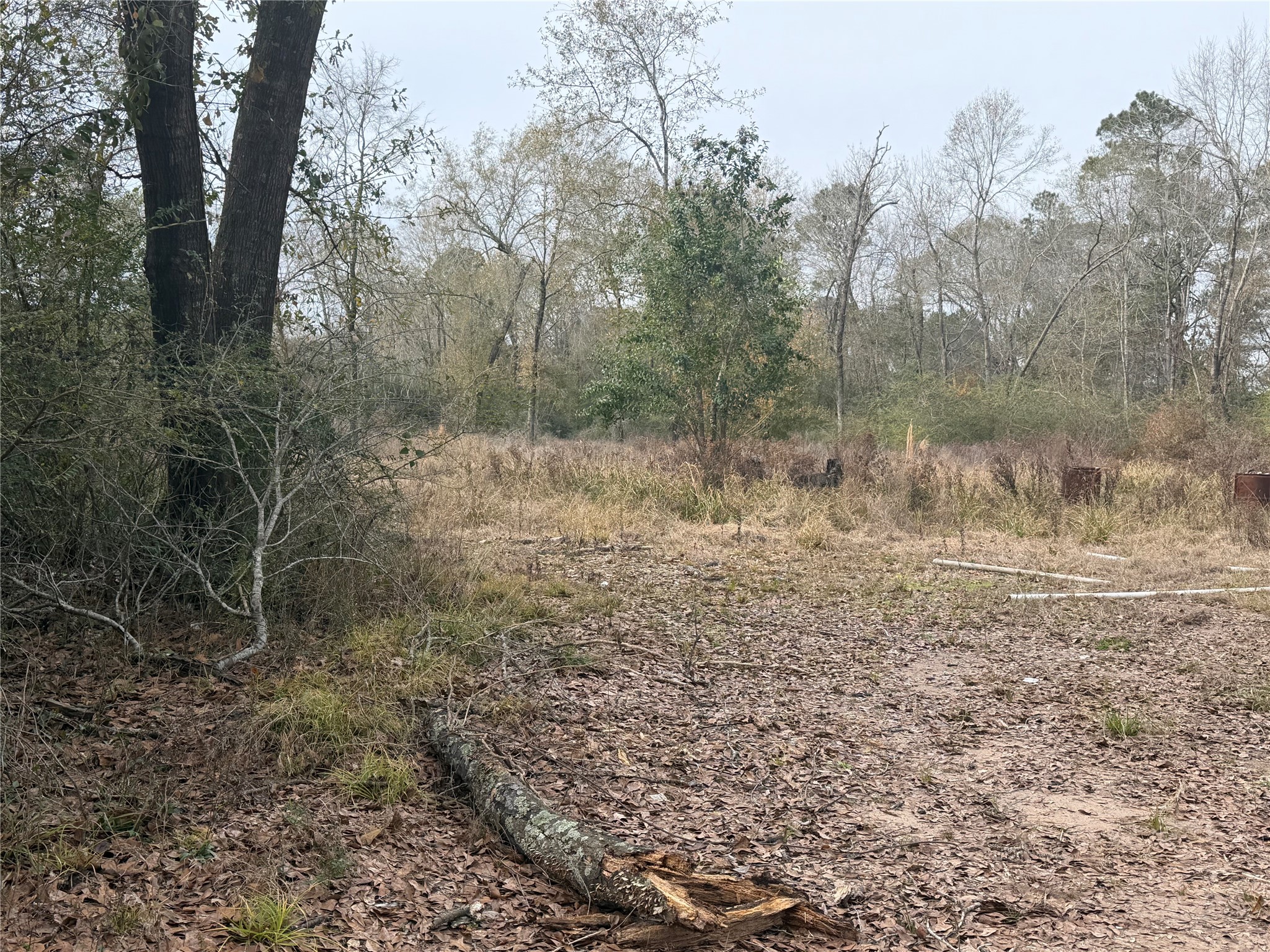 124 Fannin Livingston, TX 77351 - Photo 12 of 16