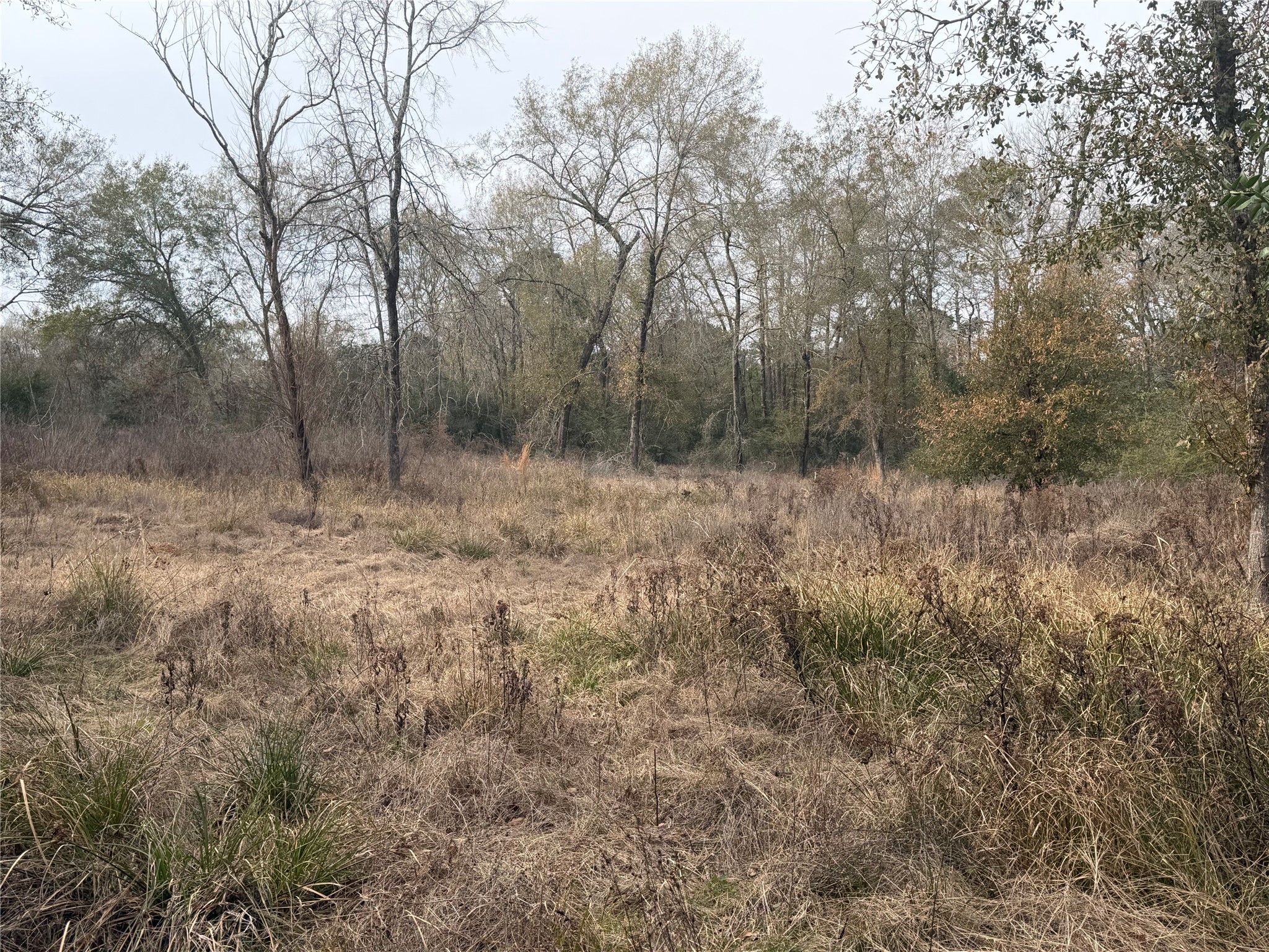 124 Fannin Livingston, TX 77351 - Photo 13 of 16