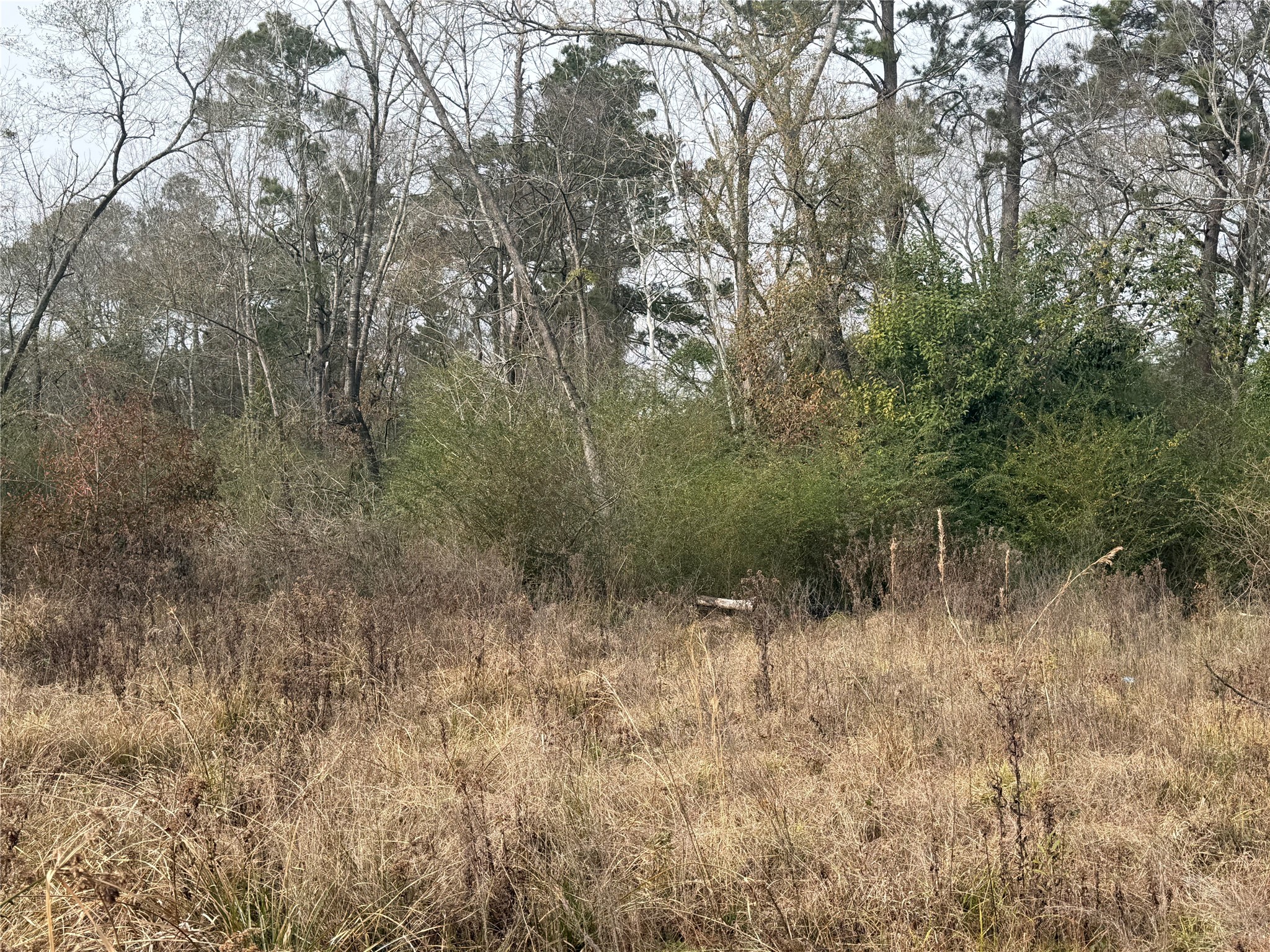 124 Fannin Livingston, TX 77351 - Photo 14 of 16