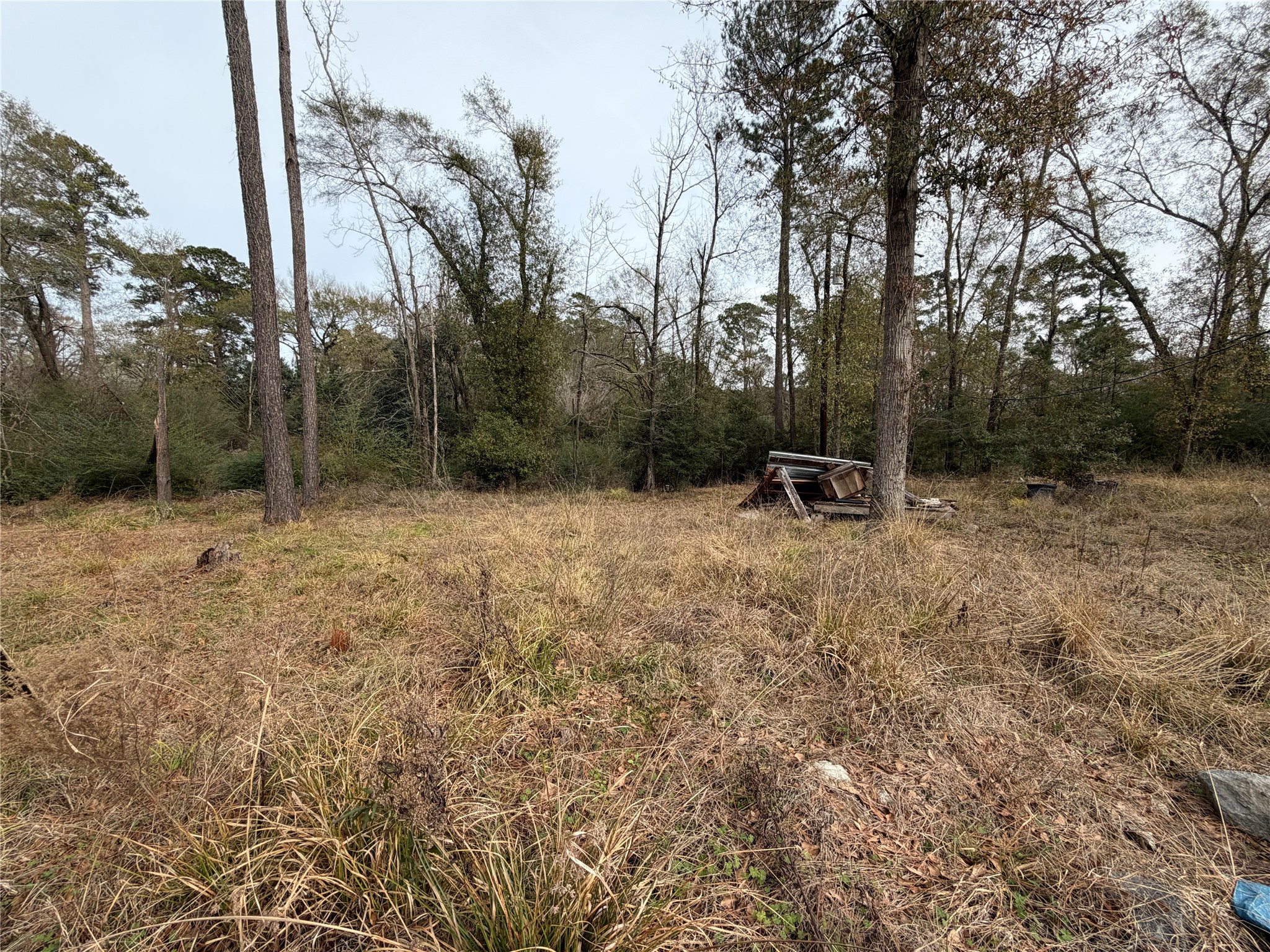 124 Fannin Livingston, TX 77351 - Photo 16 of 16