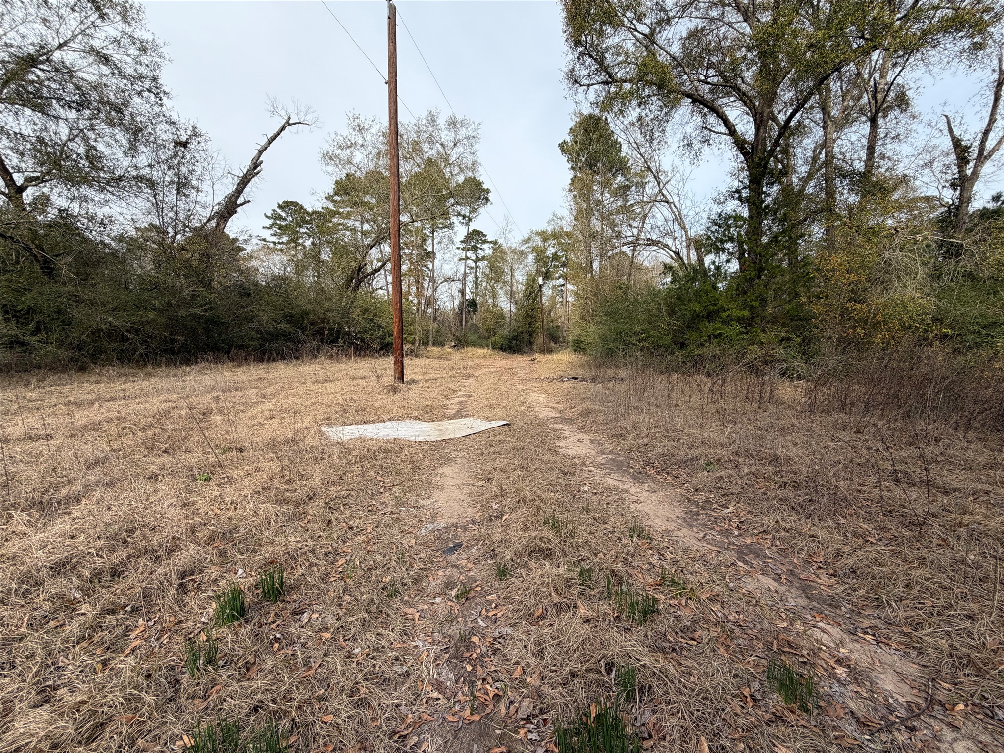 124 Fannin Livingston, TX 77351 - Photo 9 of 16