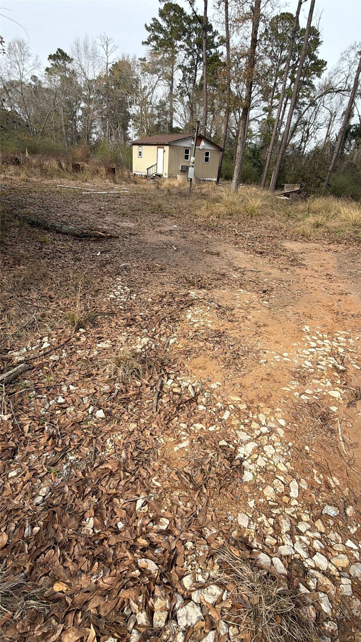 124 Fannin Livingston, TX 77351 - Photo 10 of 16