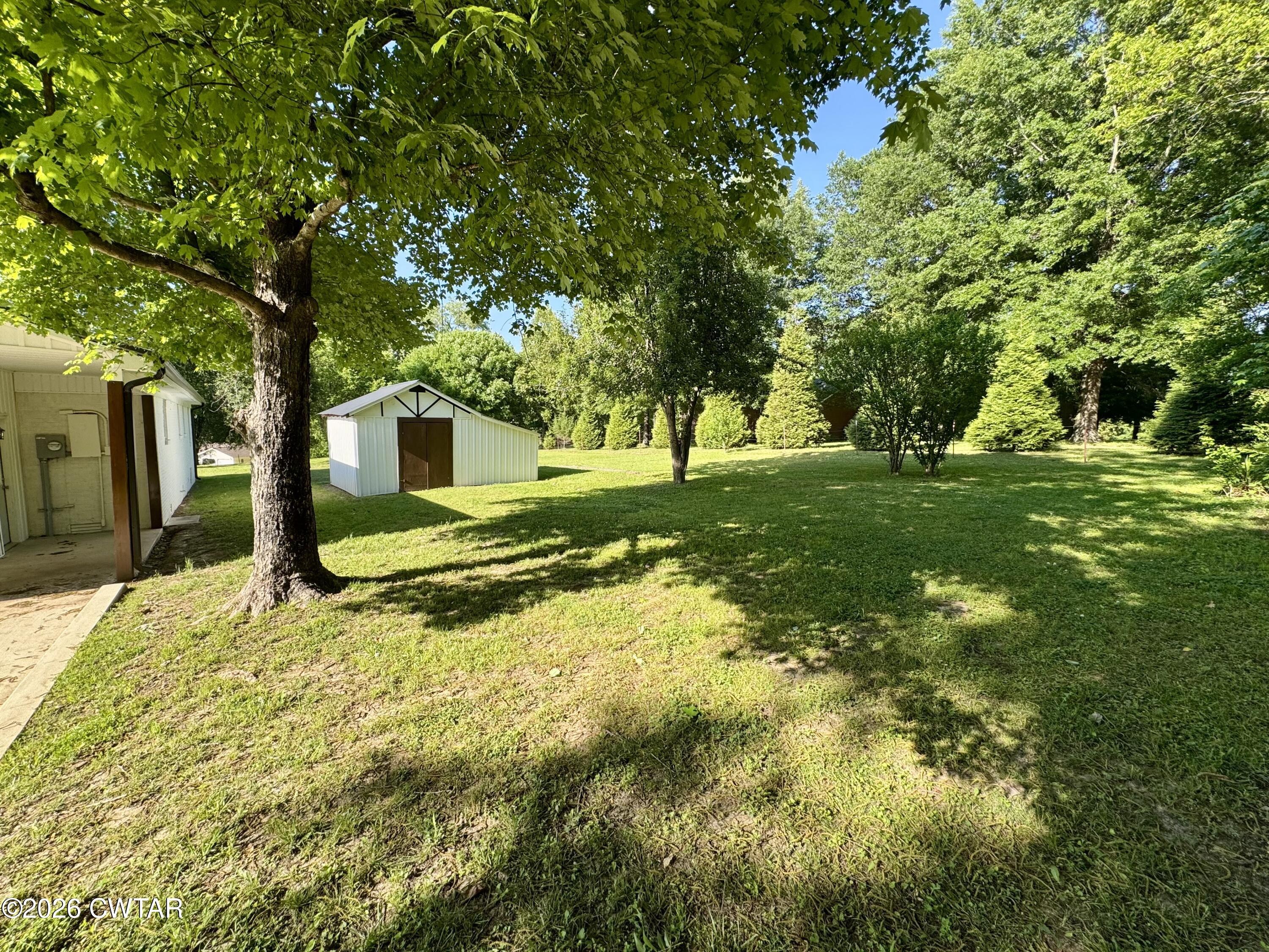98 Reagan Road Dyersburg, TN 38024 - Photo 8 of 31 a view of a yard with plants and large trees