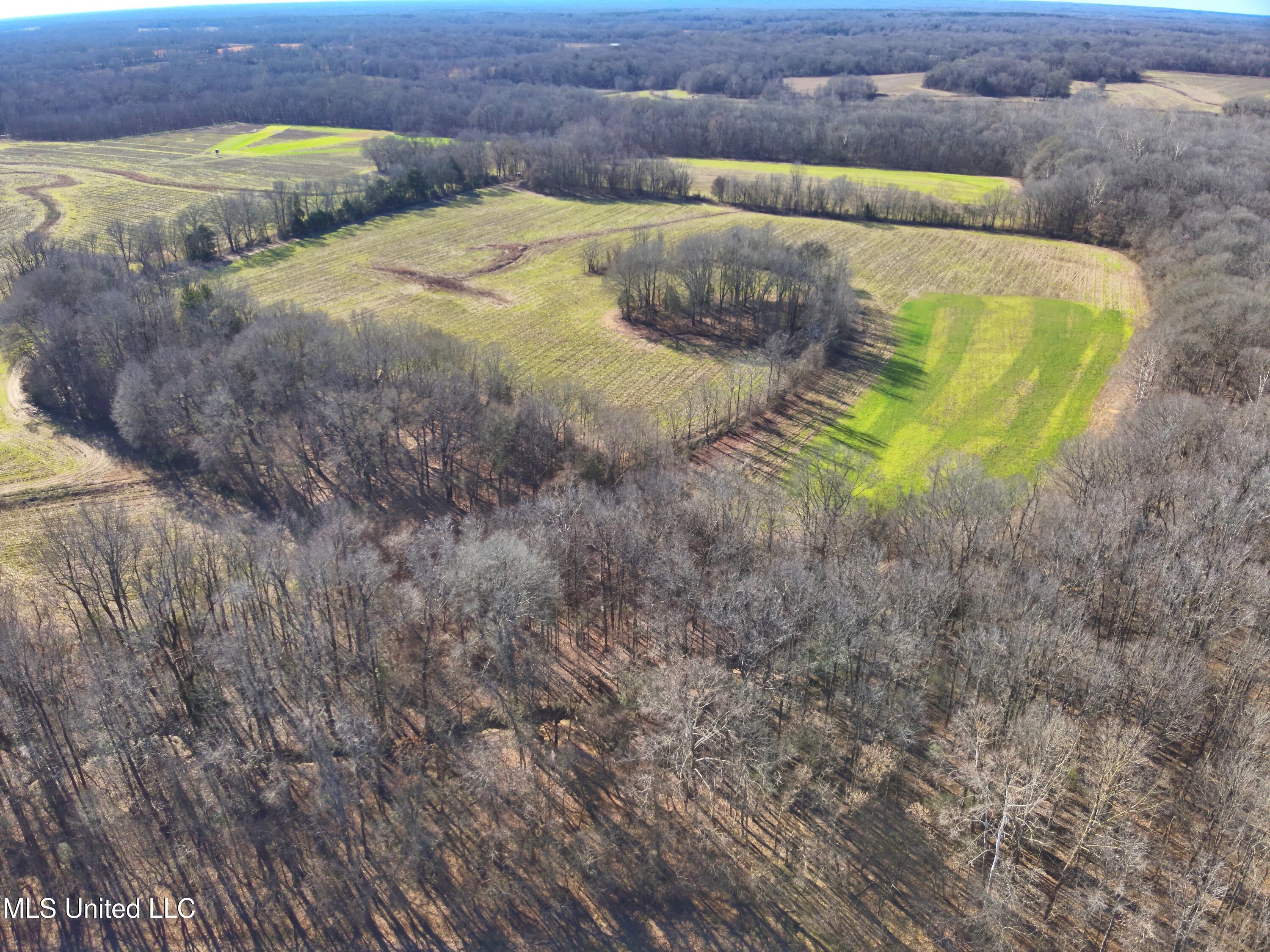 Hunting tract