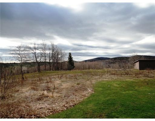 232 Paris Hill Road Buckfield, ME 04220 - Photo 12 of 13 Yard/Garden.