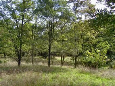 $199,900 | 1431 Highway 89, Plainwell, MI 49080