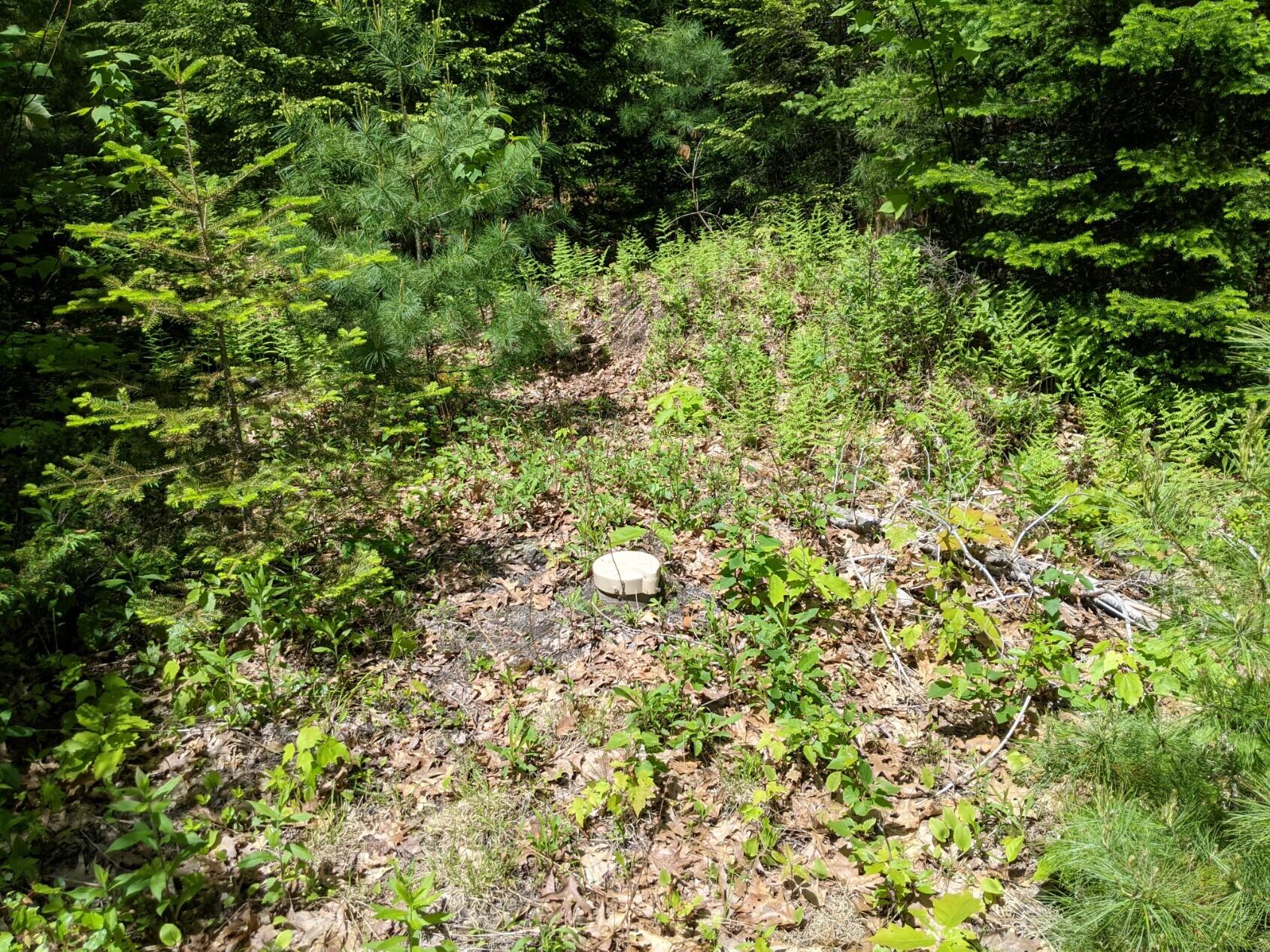 0 Simpsons Point Road Brunswick, ME 04011 - Photo 7 of 8 PXL_20210528_153622655