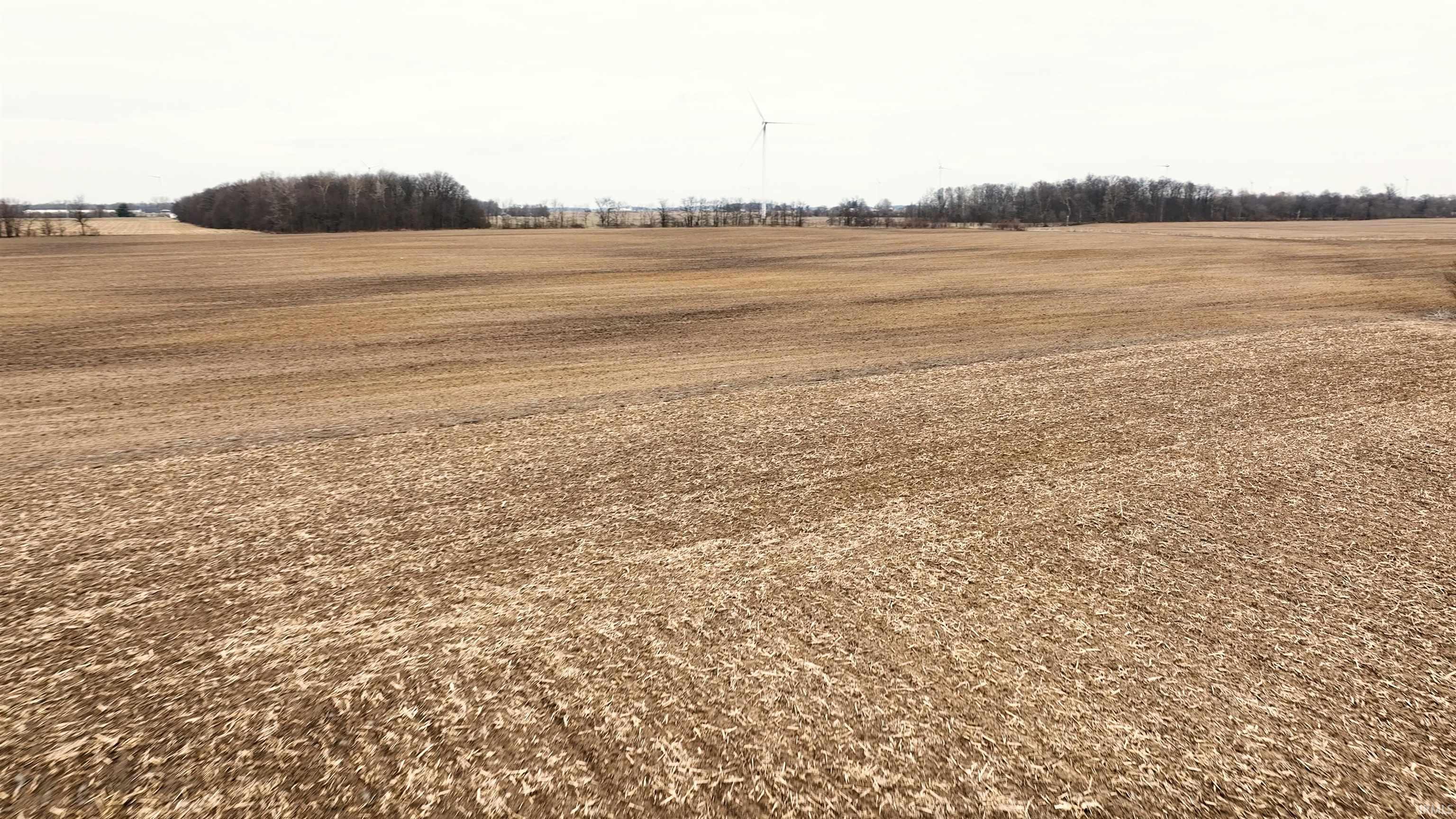 600 South Modoc, IN 47358 - Photo 9 of 21