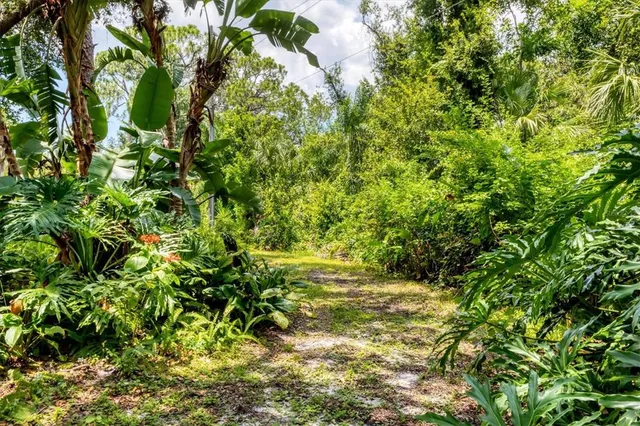 a view of yard with green space