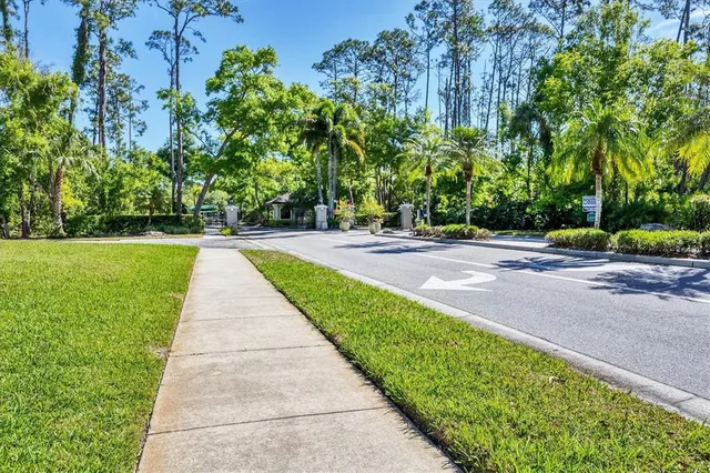 a park view with potted plants and large trees