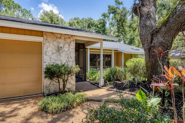 a view of a garden with plants