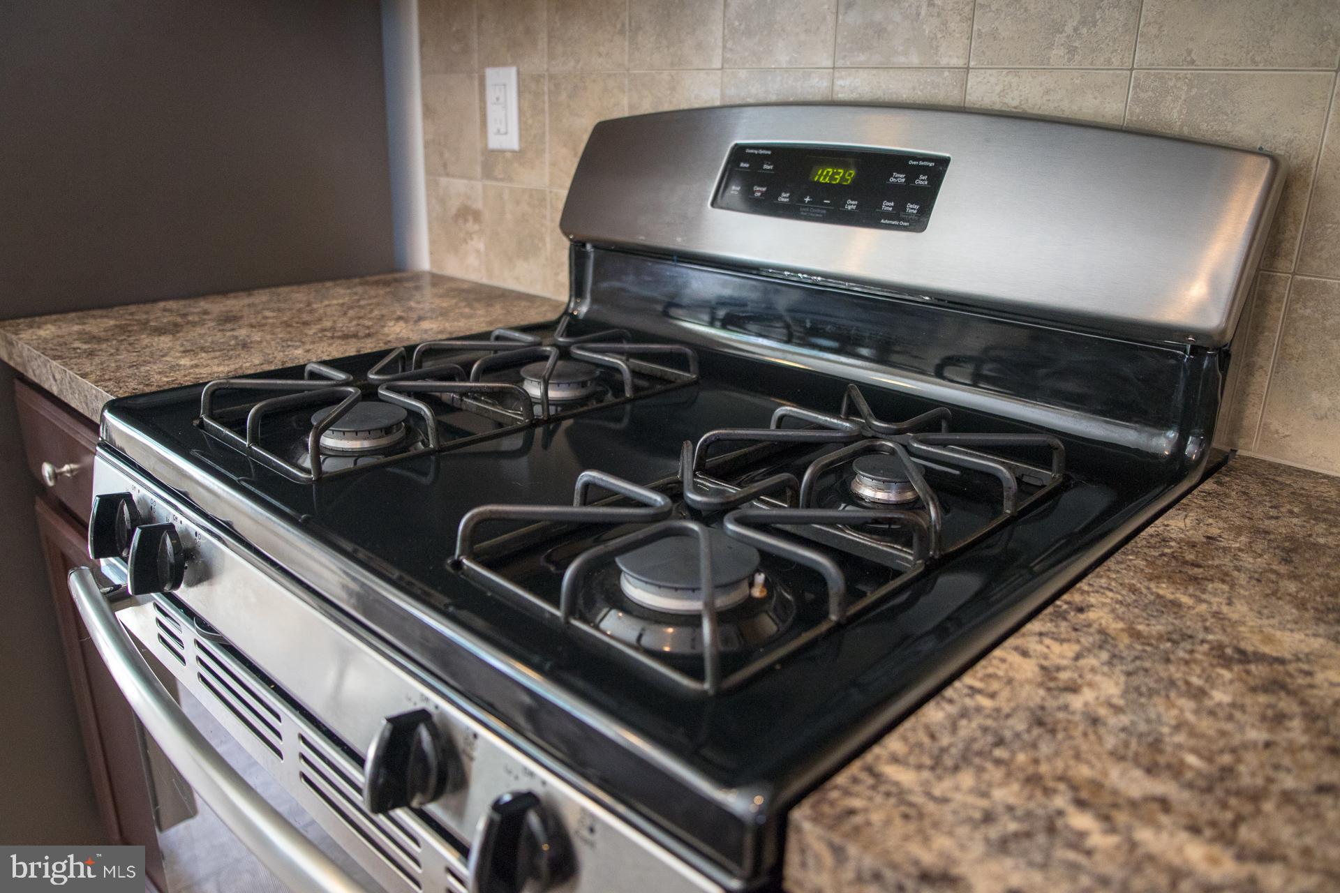 238 Iannelli Road Mount Royal, NJ 08061 - Photo 28 of 69 Gas Cooking