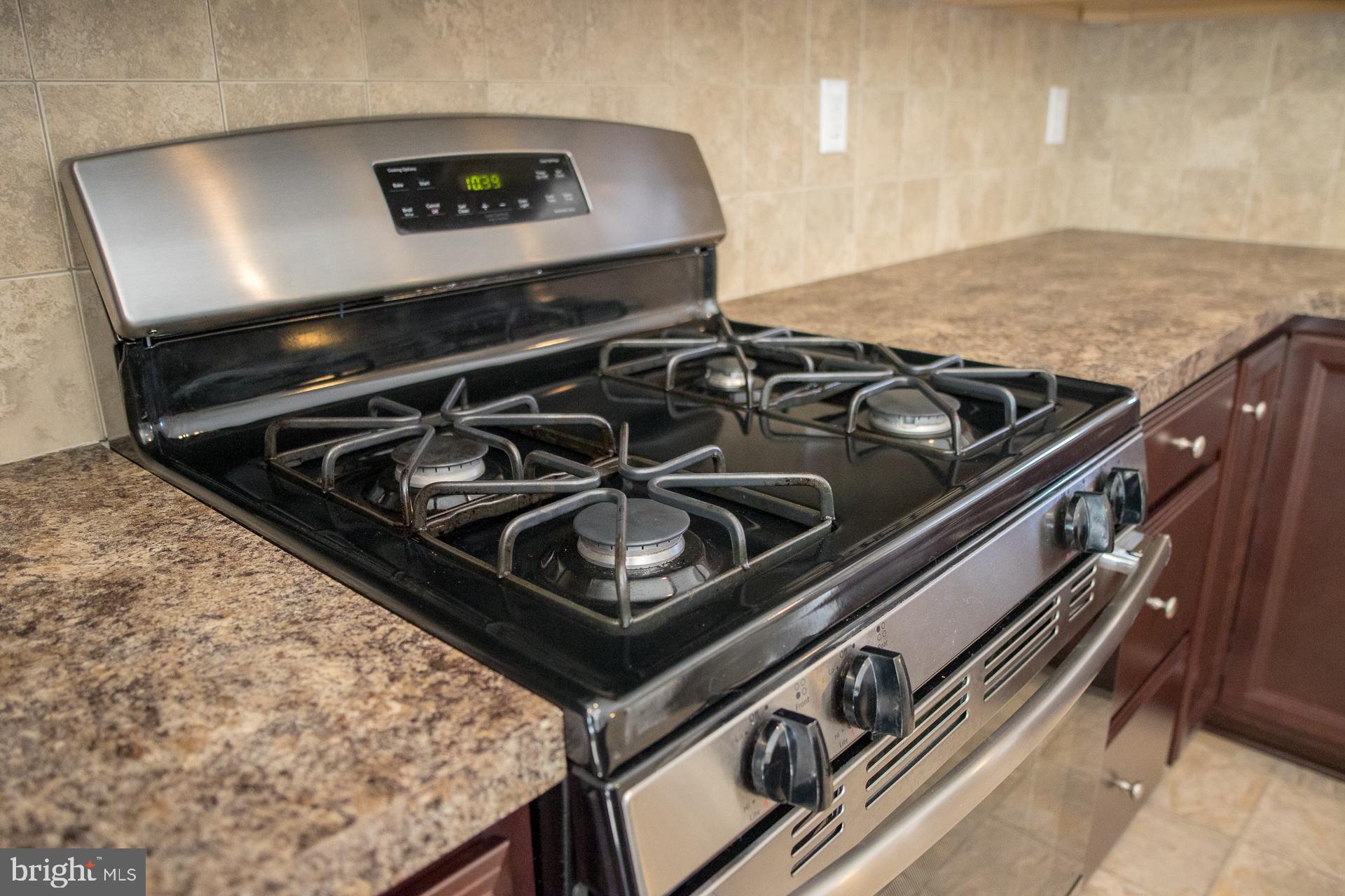 238 Iannelli Road Mount Royal, NJ 08061 - Photo 29 of 69 Gas Cooking