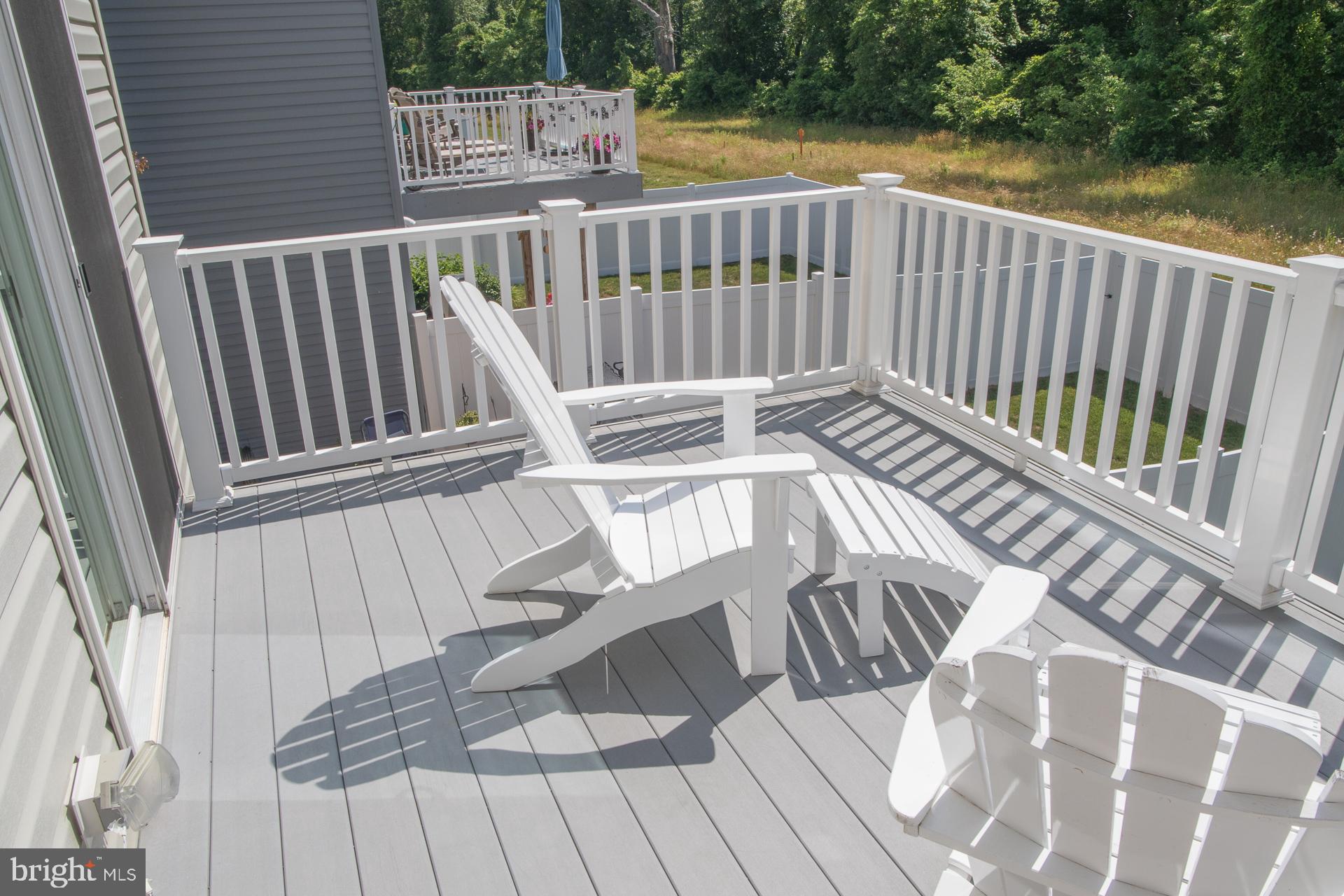 238 Iannelli Road Mount Royal, NJ 08061 - Photo 39 of 69 Trex Deck