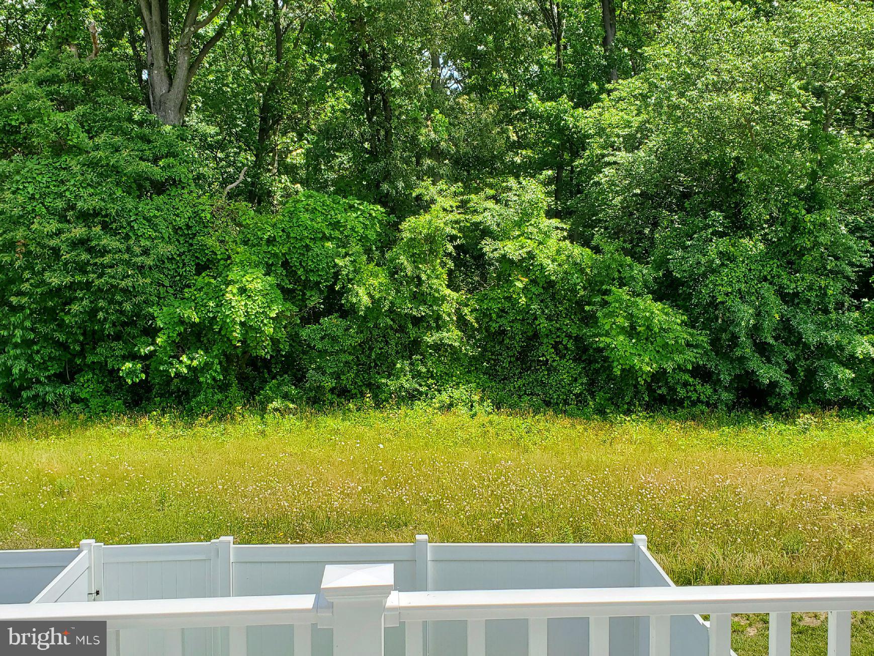 238 Iannelli Road Mount Royal, NJ 08061 - Photo 42 of 69 View of Pristine Woods off the Deck
