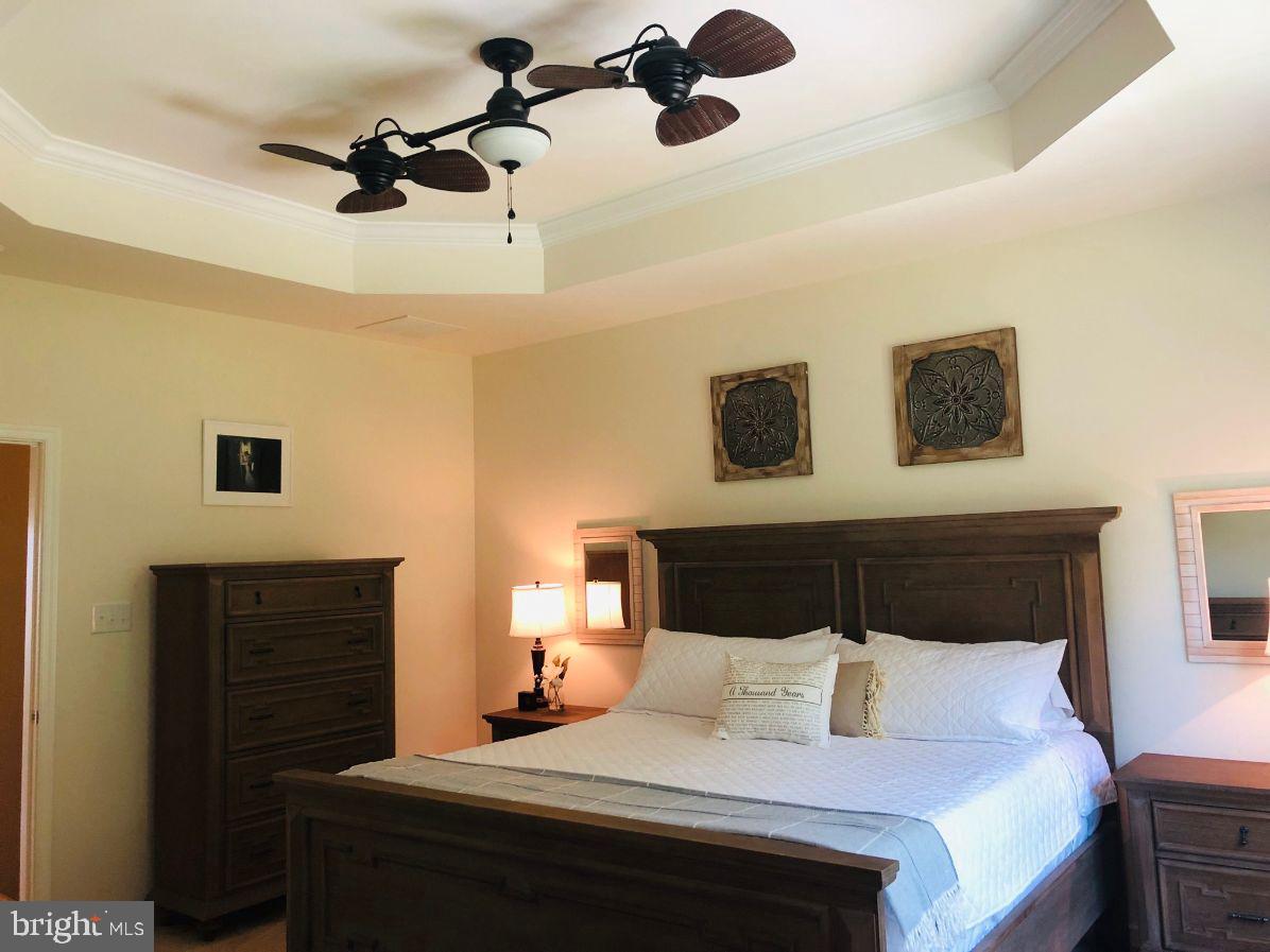 238 Iannelli Road Mount Royal, NJ 08061 - Photo 45 of 69 Master bedroom Tray ceiling w/Awesome Fan