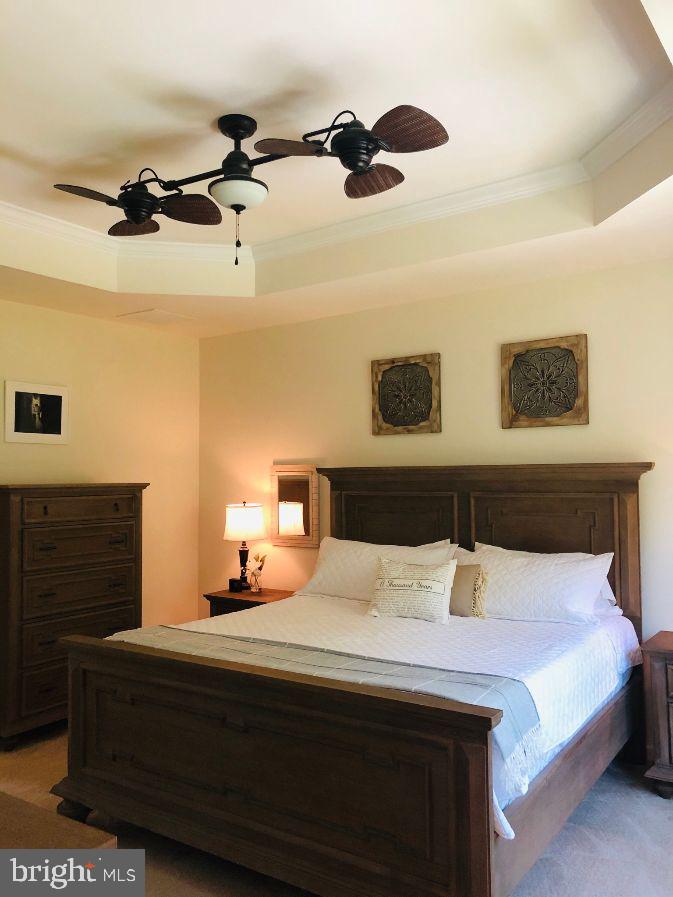 238 Iannelli Road Mount Royal, NJ 08061 - Photo 46 of 69 Master bedroom Tray ceiling w/Awesome Fan