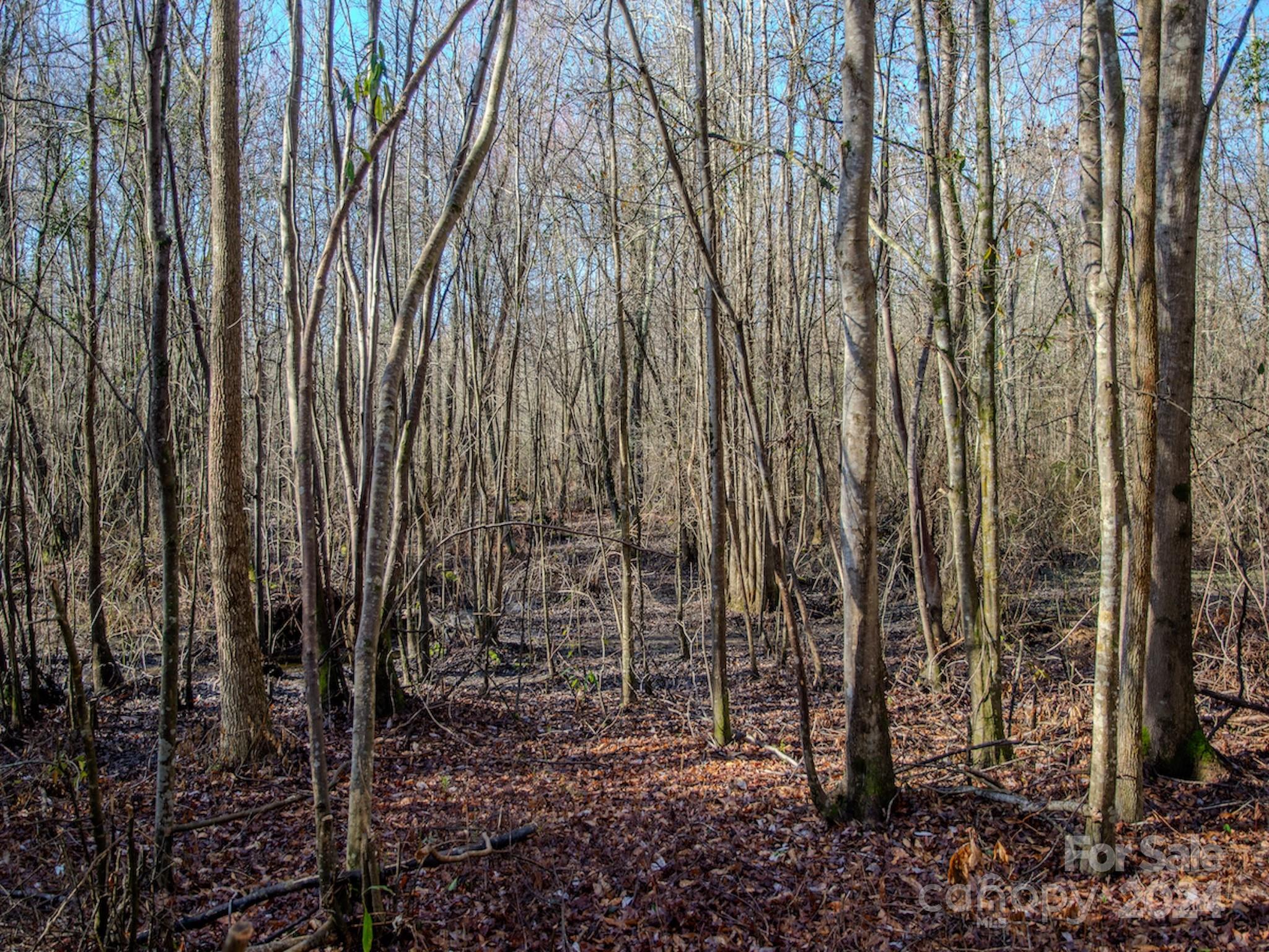 4068 Midway Road Maxton, NC 28364 - Photo 20 of 48