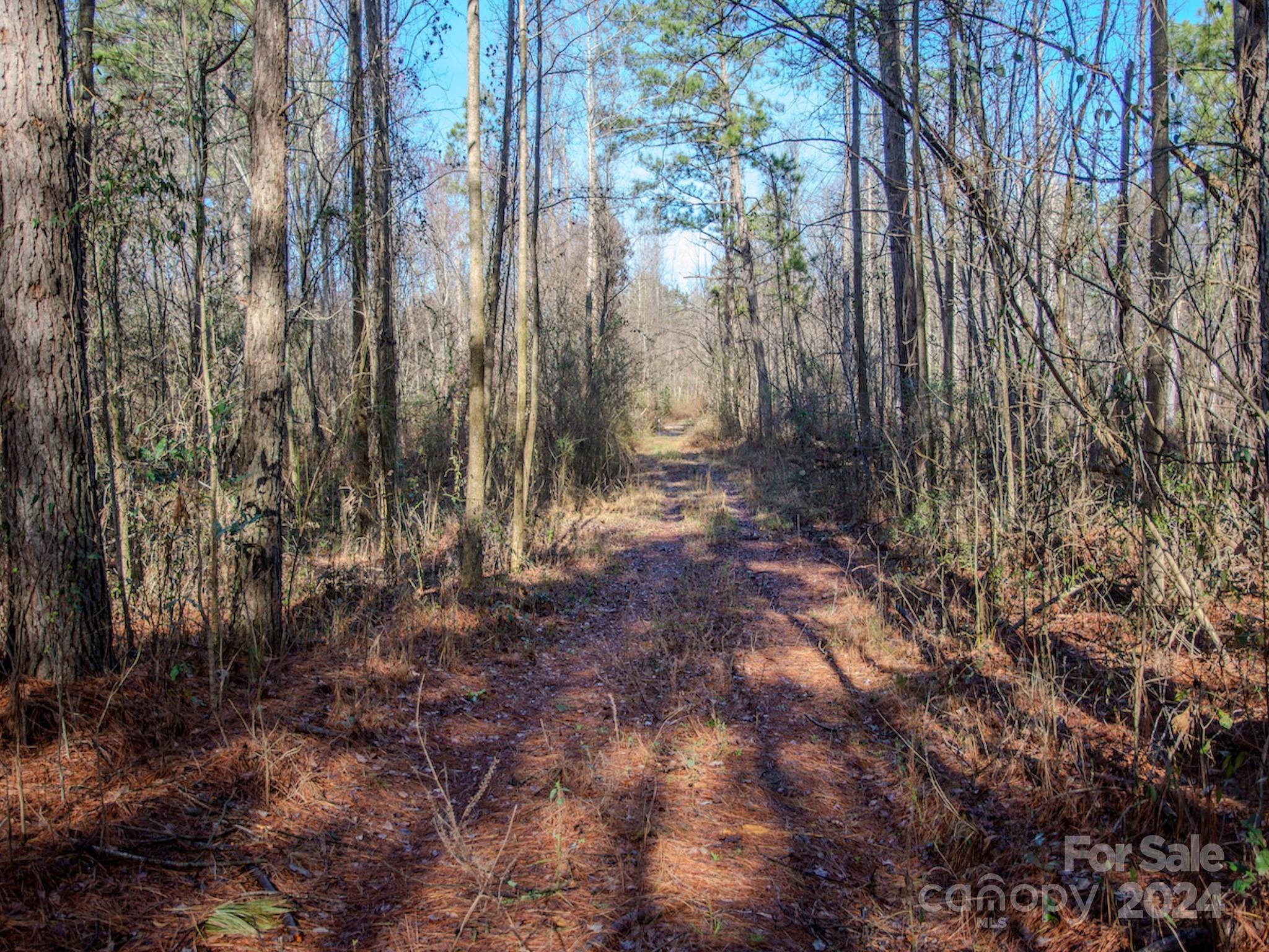 4068 Midway Road Maxton, NC 28364 - Photo 21 of 48