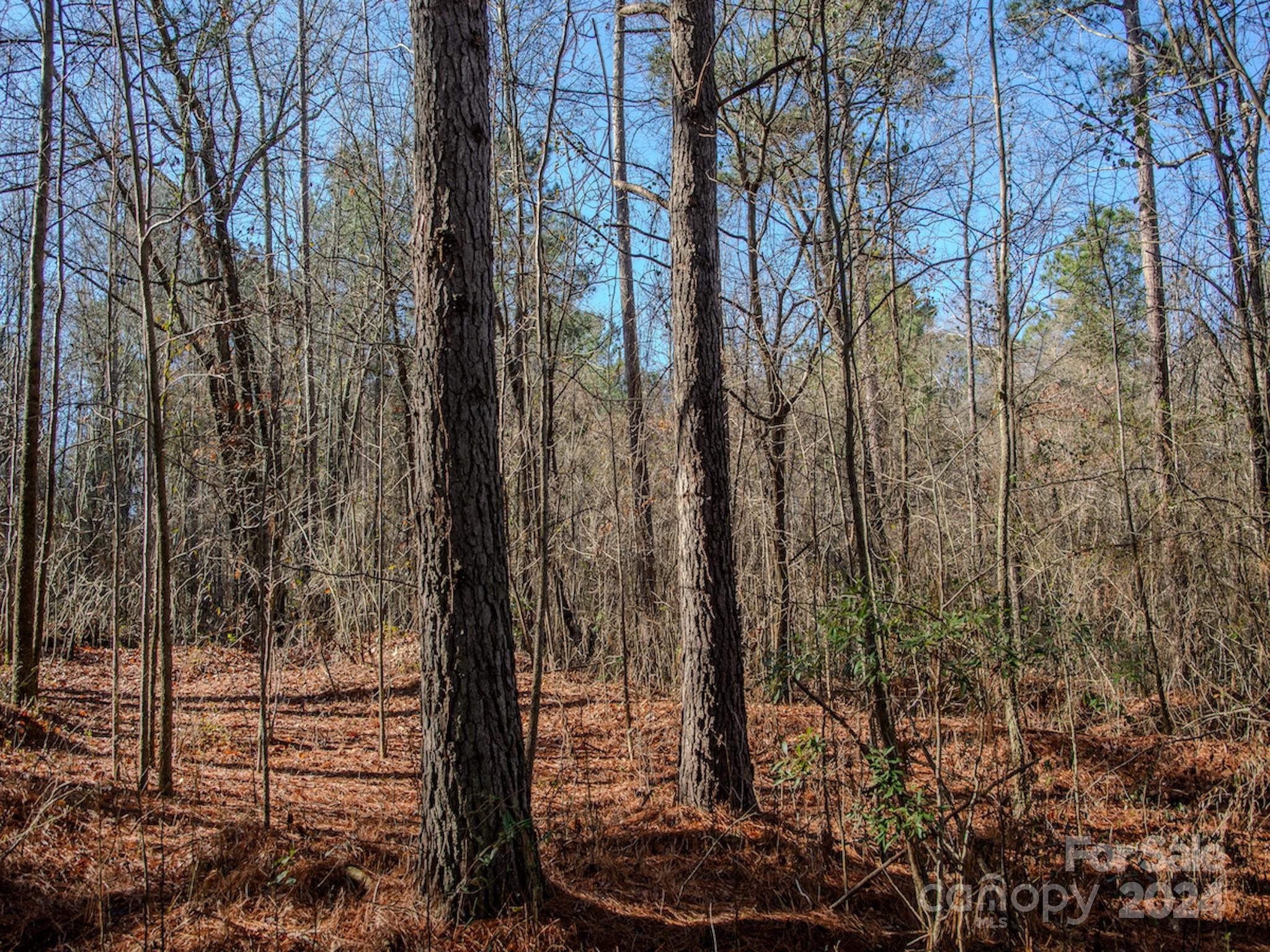 4068 Midway Road Maxton, NC 28364 - Photo 22 of 48