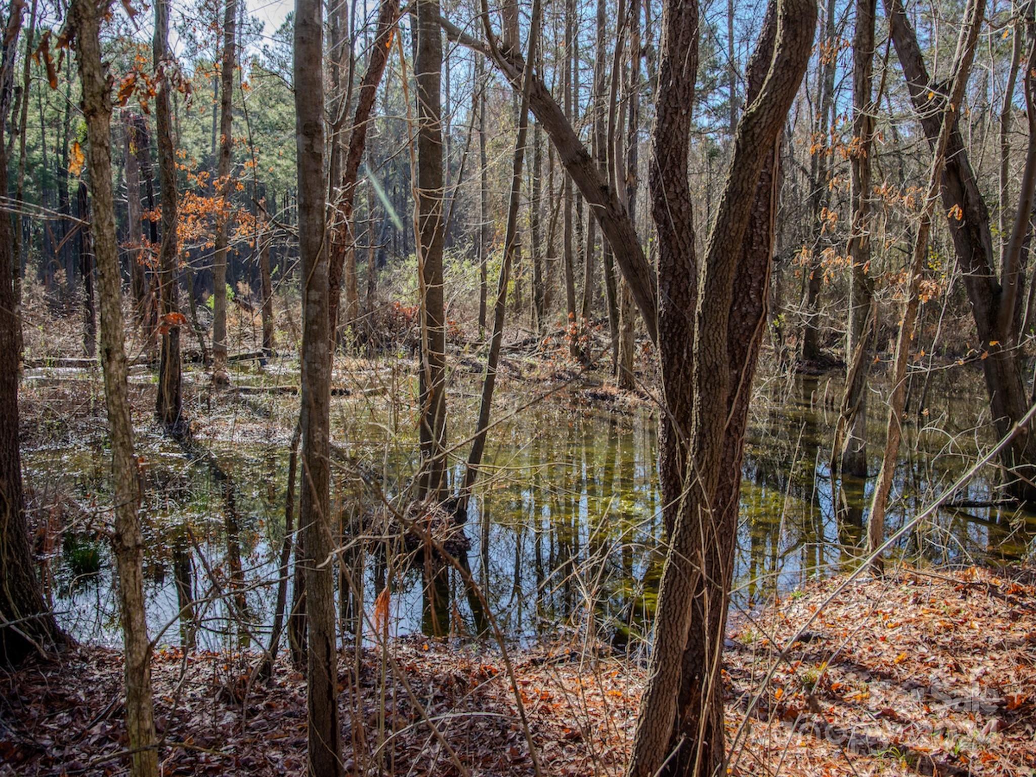 4068 Midway Road Maxton, NC 28364 - Photo 29 of 48