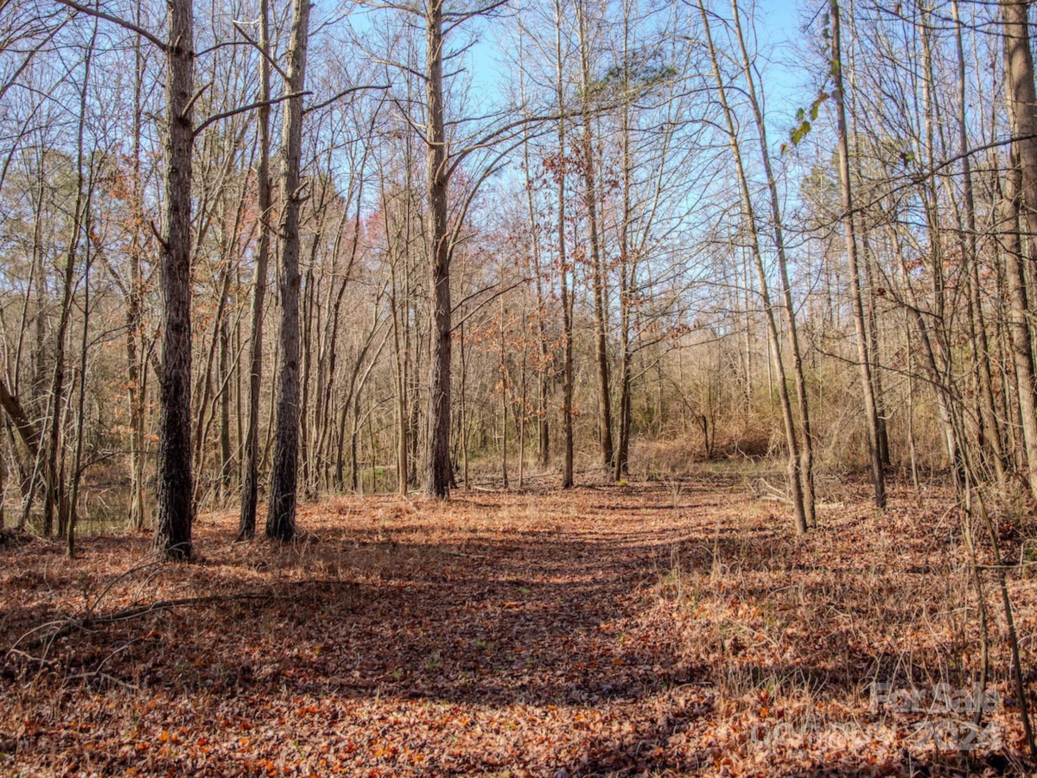 4068 Midway Road Maxton, NC 28364 - Photo 30 of 48