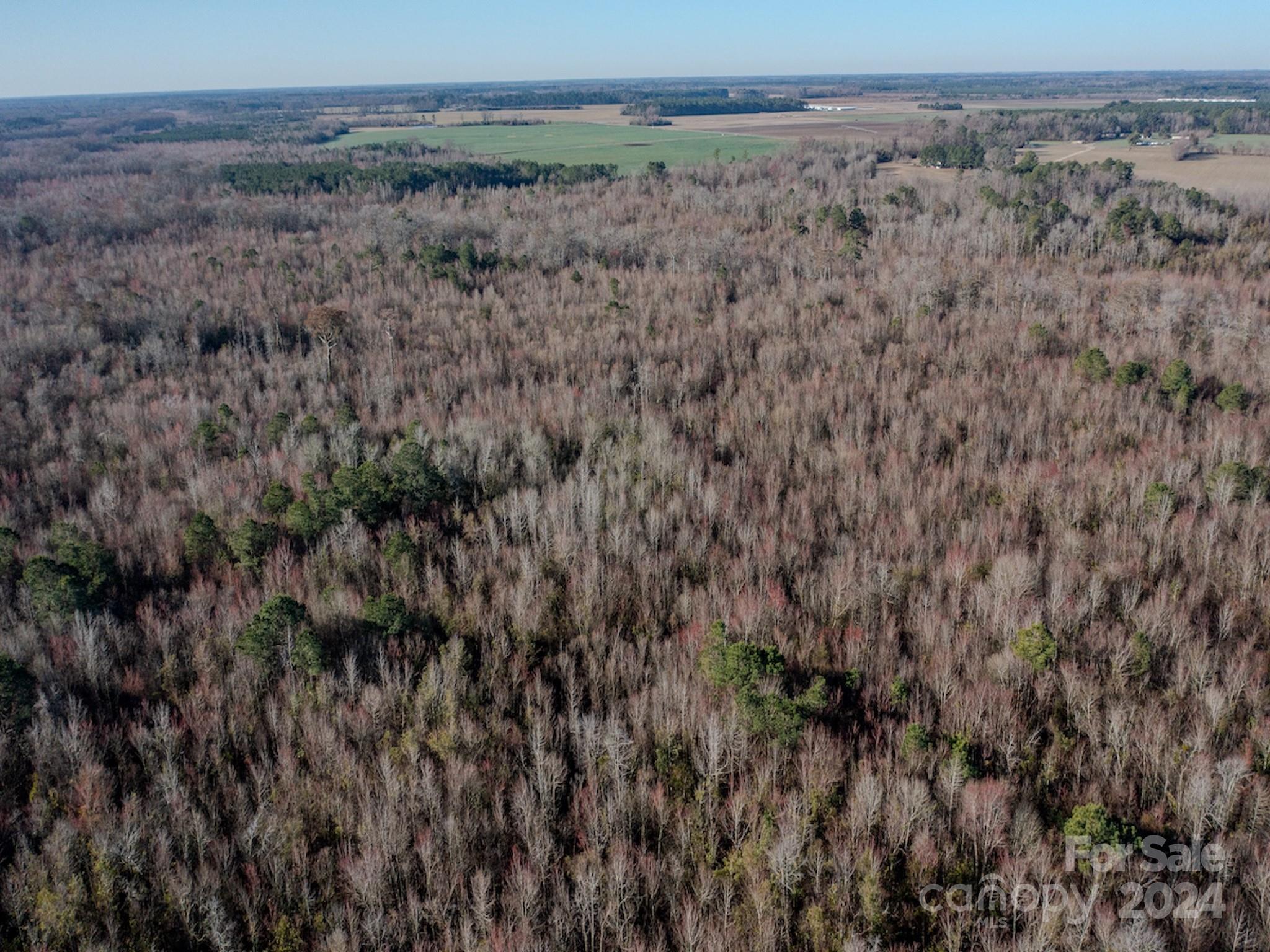 4068 Midway Road Maxton, NC 28364 - Photo 3 of 48