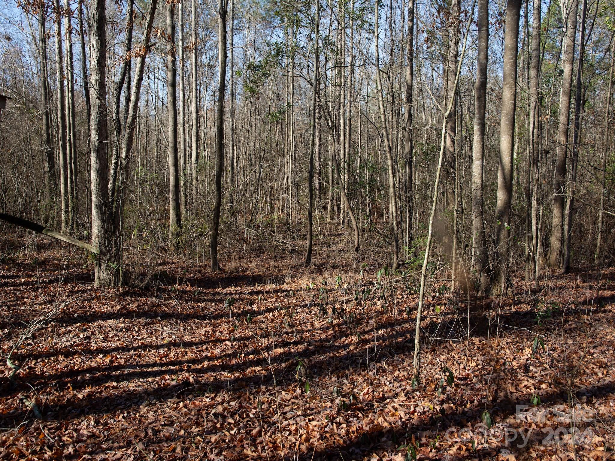 4068 Midway Road Maxton, NC 28364 - Photo 31 of 48