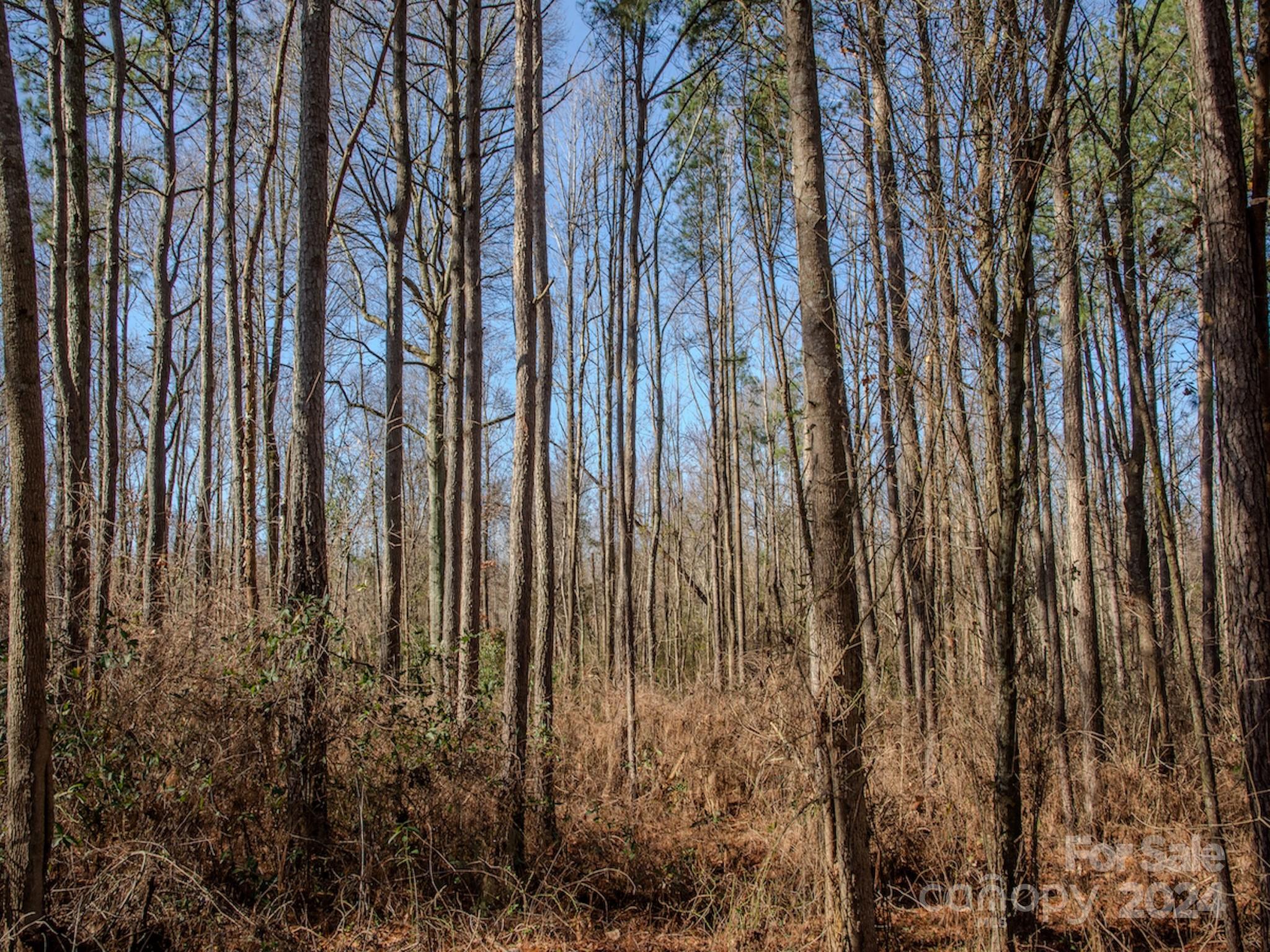 4068 Midway Road Maxton, NC 28364 - Photo 32 of 48