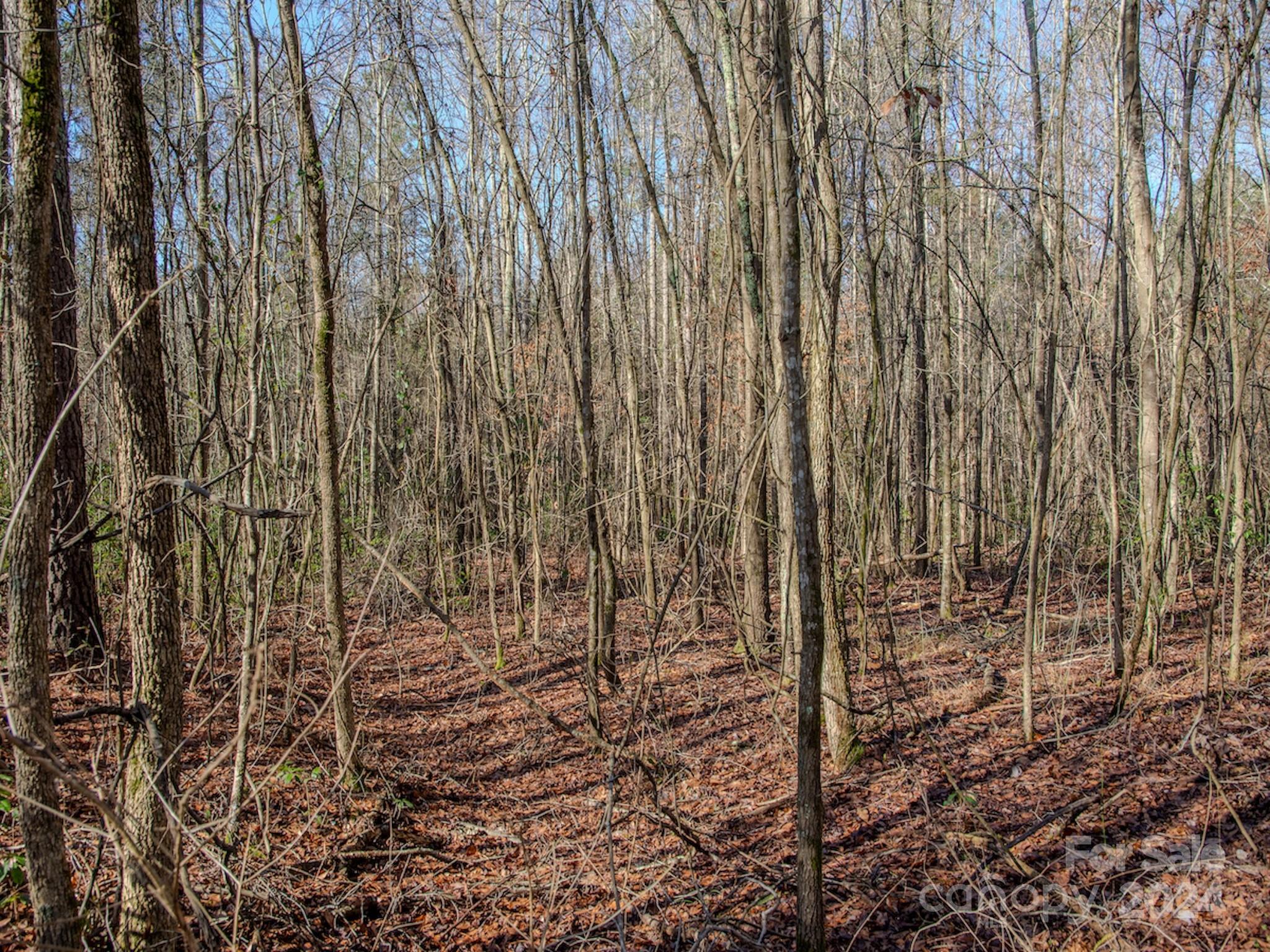 4068 Midway Road Maxton, NC 28364 - Photo 35 of 48