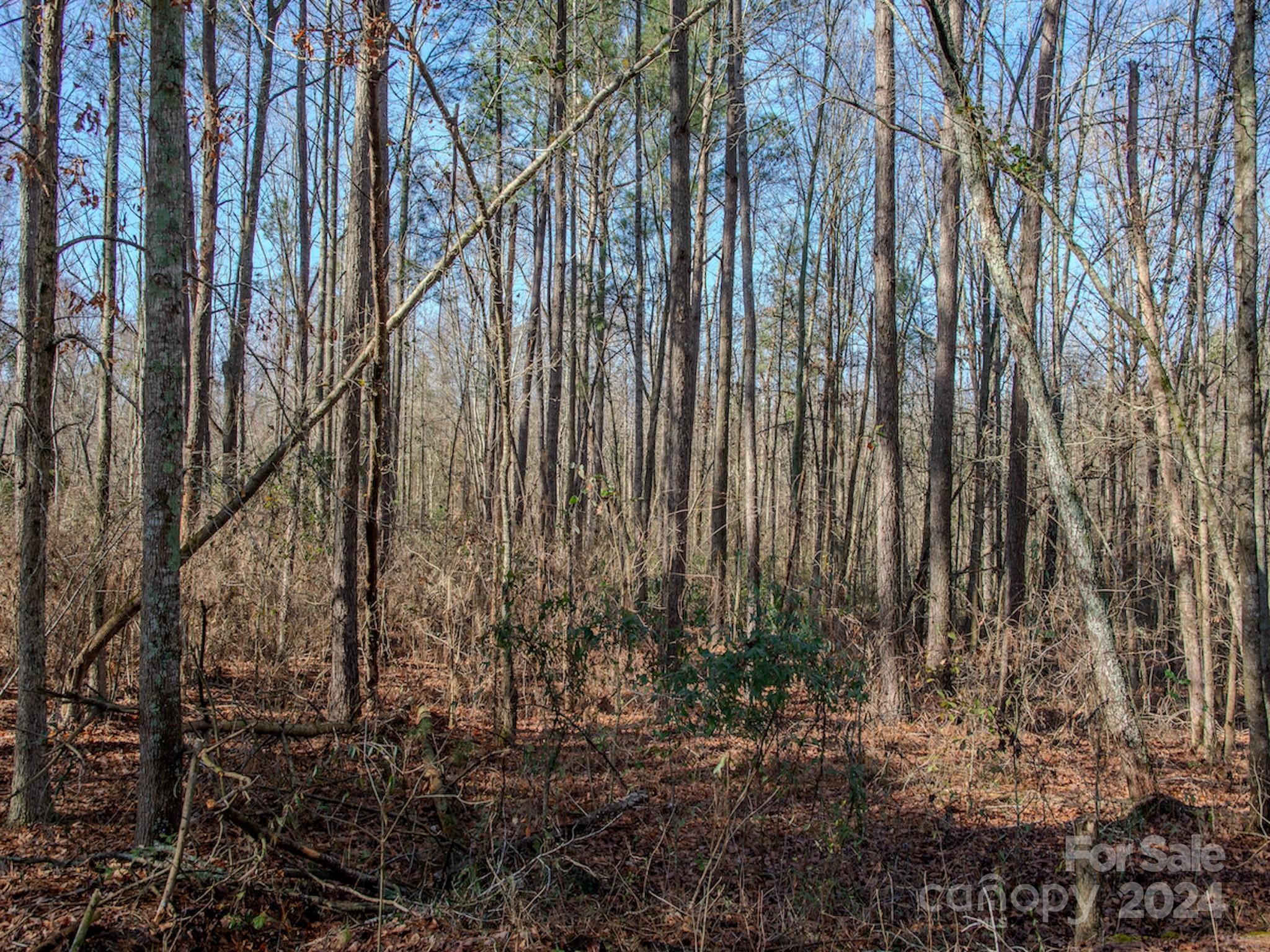 4068 Midway Road Maxton, NC 28364 - Photo 36 of 48