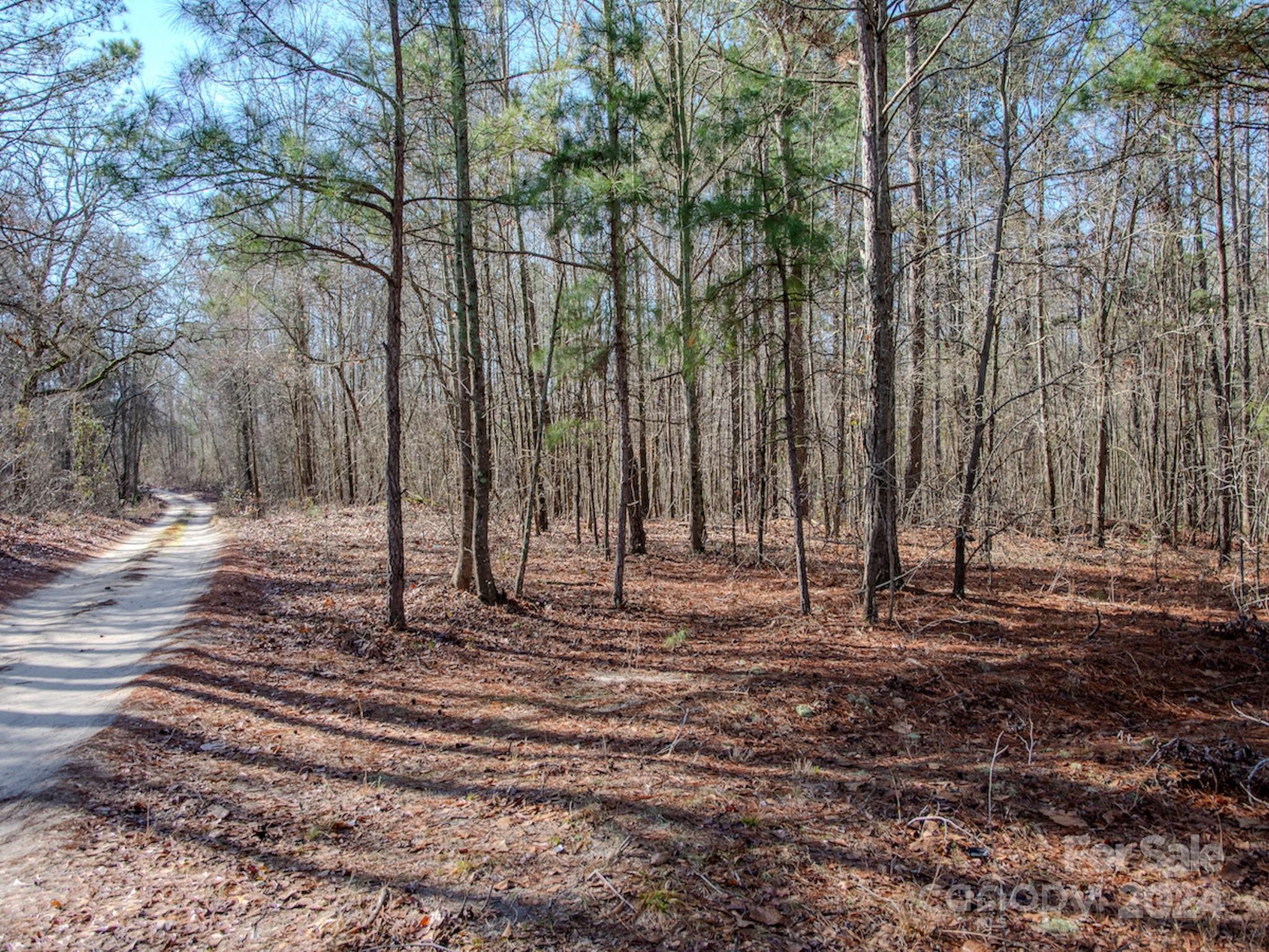 4068 Midway Road Maxton, NC 28364 - Photo 37 of 48