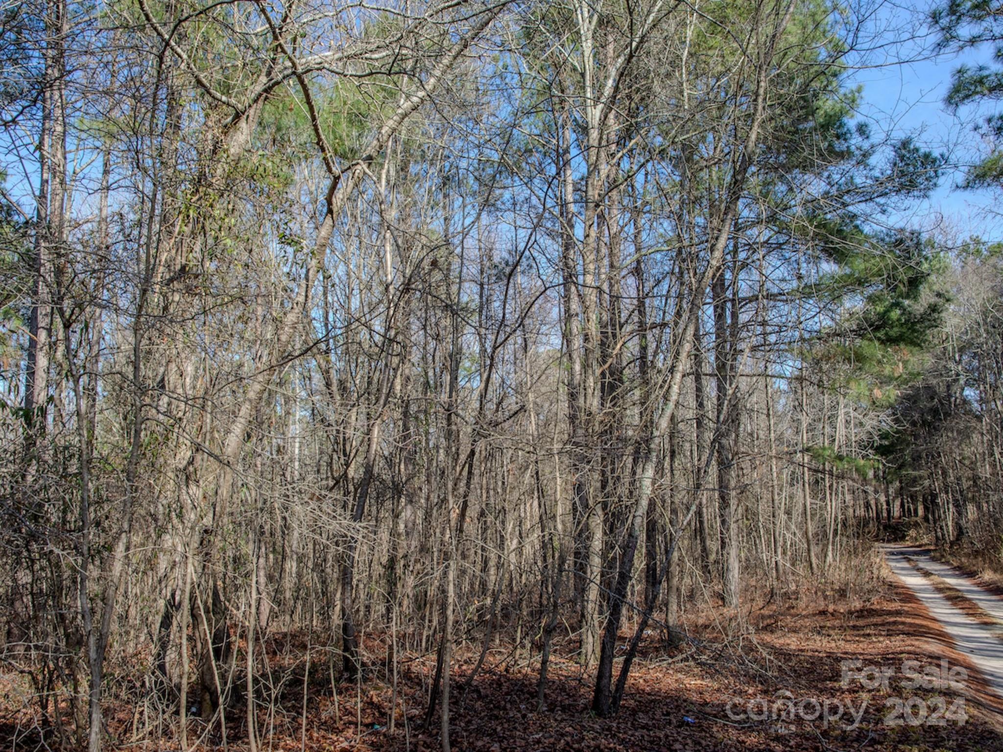 4068 Midway Road Maxton, NC 28364 - Photo 38 of 48