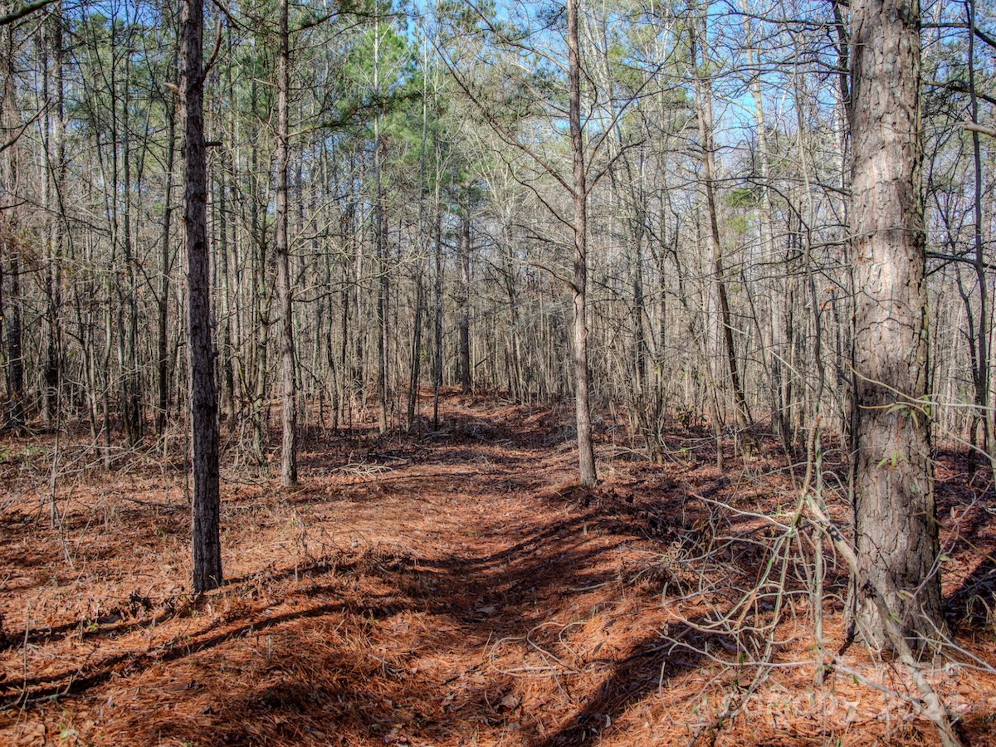 4068 Midway Road Maxton, NC 28364 - Photo 39 of 48