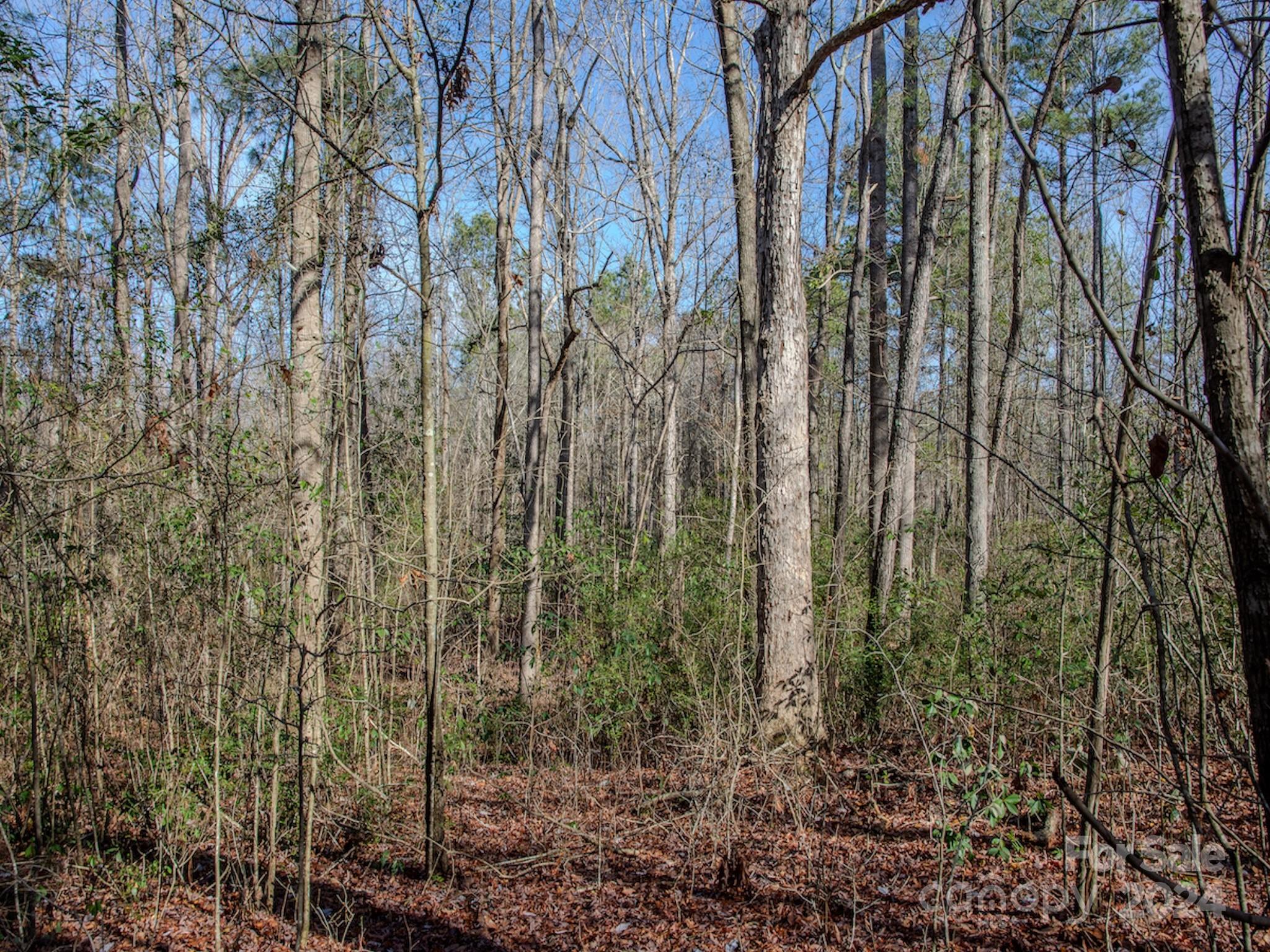 4068 Midway Road Maxton, NC 28364 - Photo 42 of 48