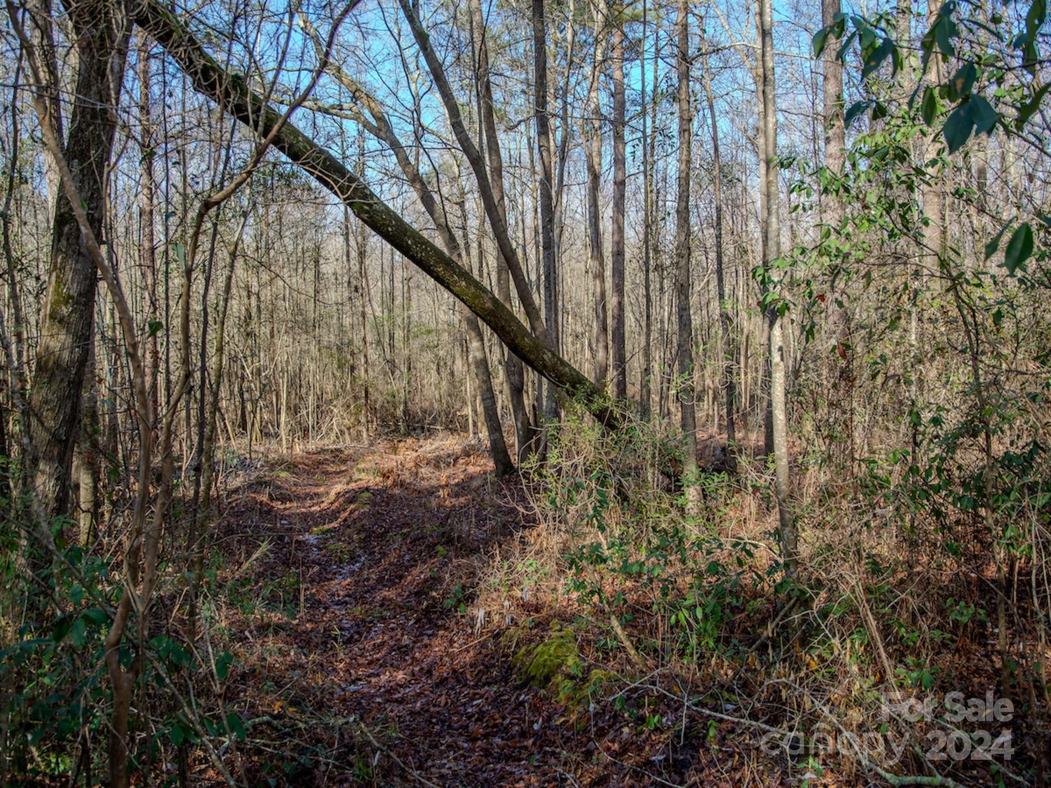 4068 Midway Road Maxton, NC 28364 - Photo 43 of 48