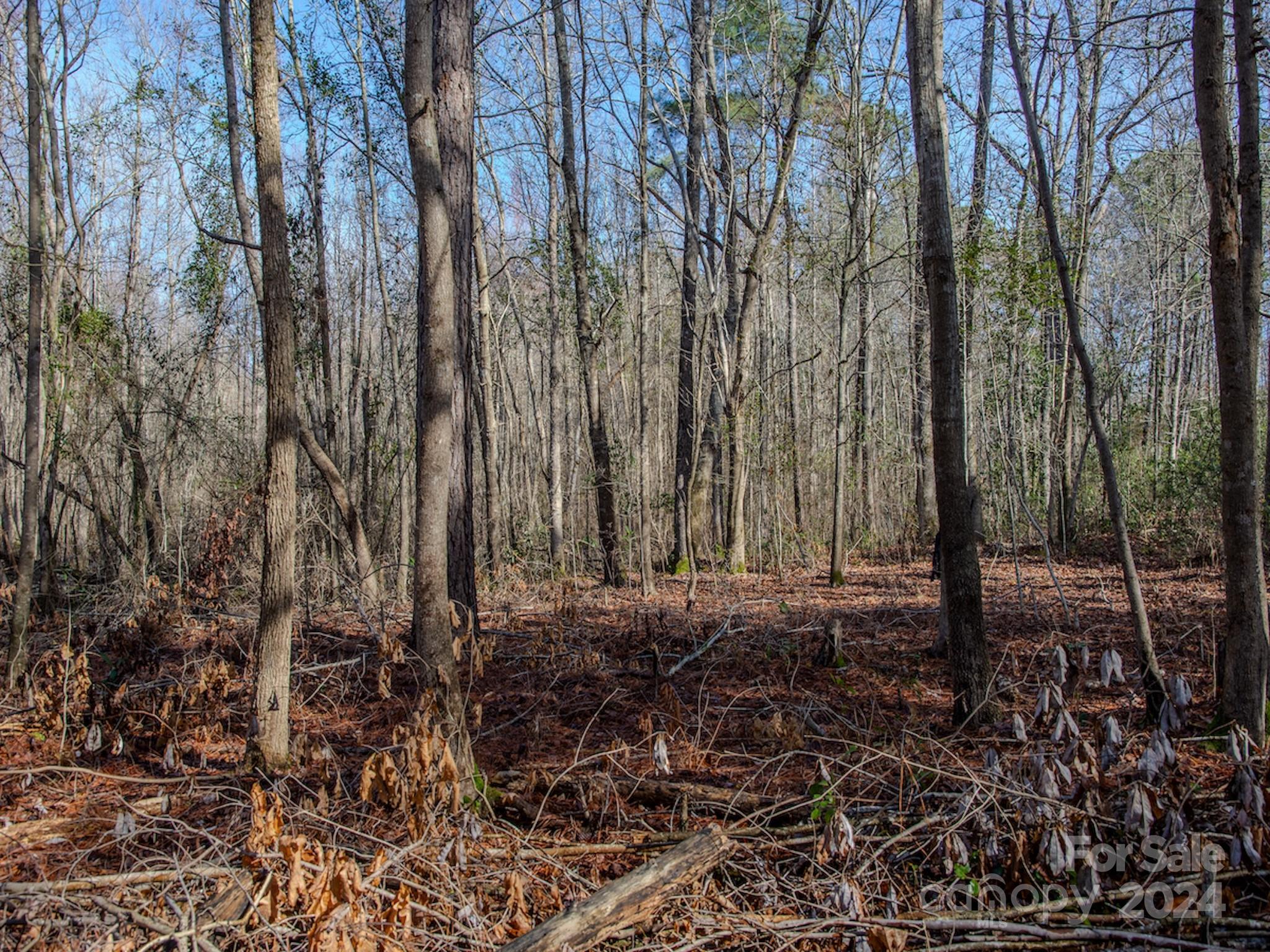 4068 Midway Road Maxton, NC 28364 - Photo 44 of 48