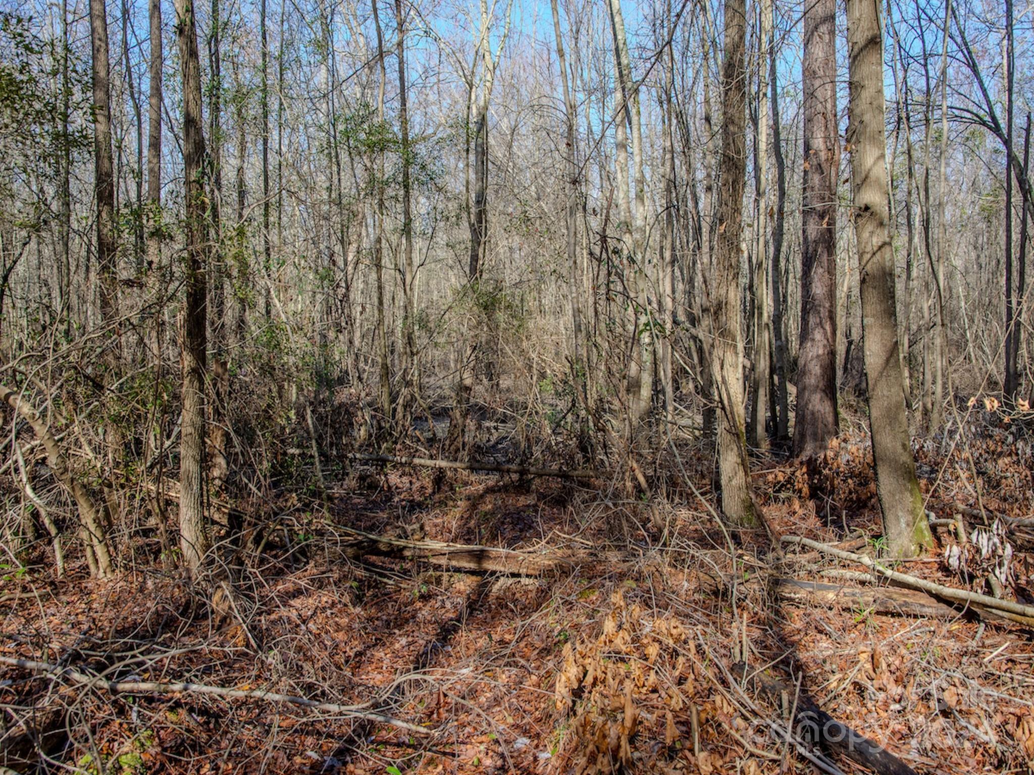 4068 Midway Road Maxton, NC 28364 - Photo 45 of 48