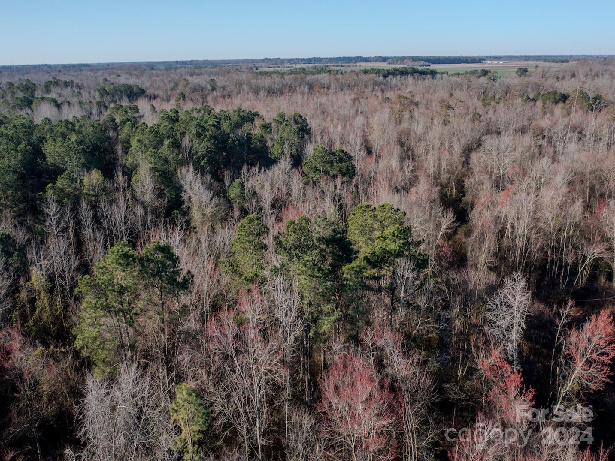 4068 Midway Road Maxton, NC 28364 - Photo 5 of 48