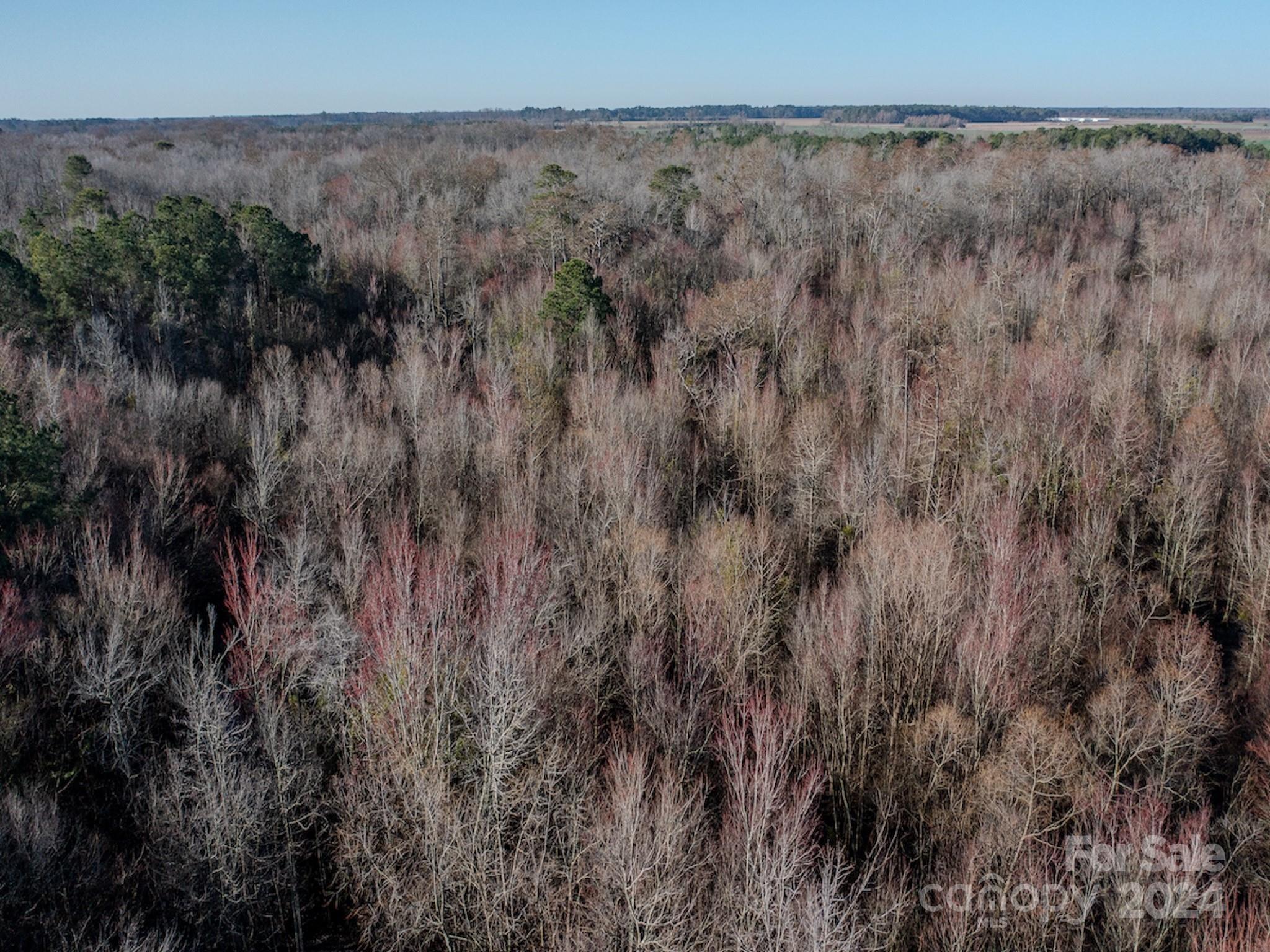 4068 Midway Road Maxton, NC 28364 - Photo 9 of 48
