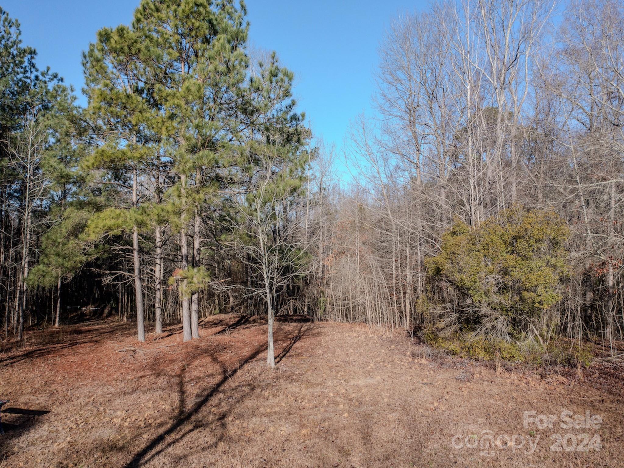 4068 Midway Road Maxton, NC 28364 - Photo 10 of 48