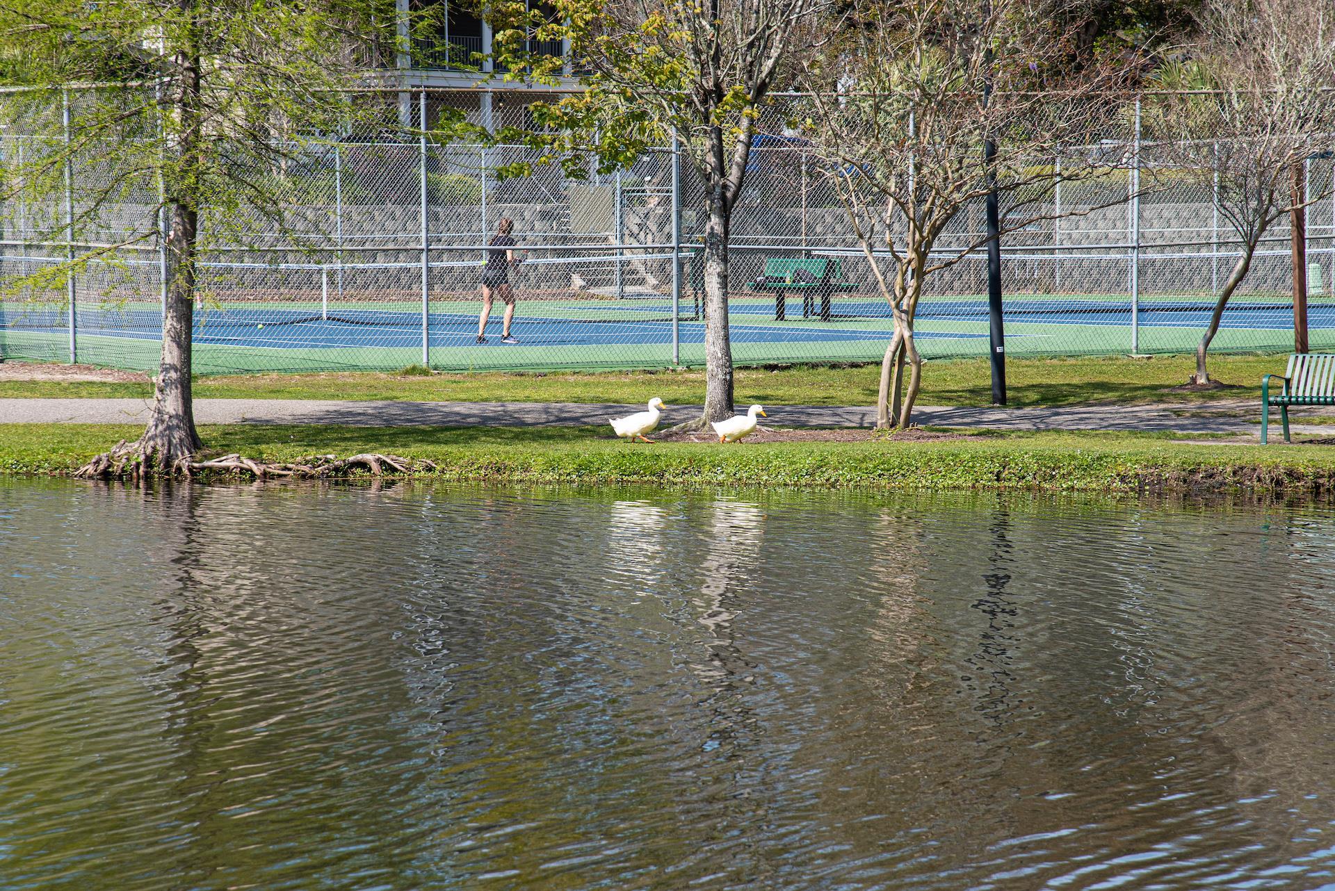 1919 Spring Street, Unit B21 North Myrtle Beach, SC 29582 - Photo 51 of 54