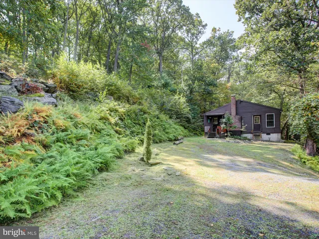 a view of a house with a yard and large trees