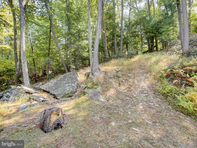 a sign that is sitting in front of a tree