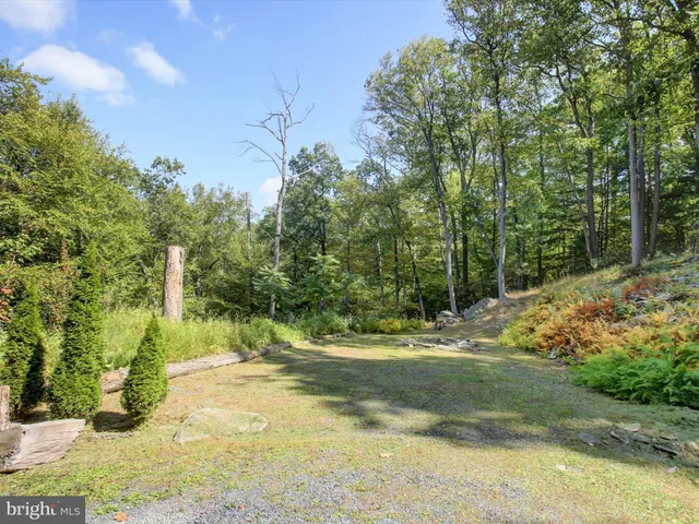 a view of a yard with large trees